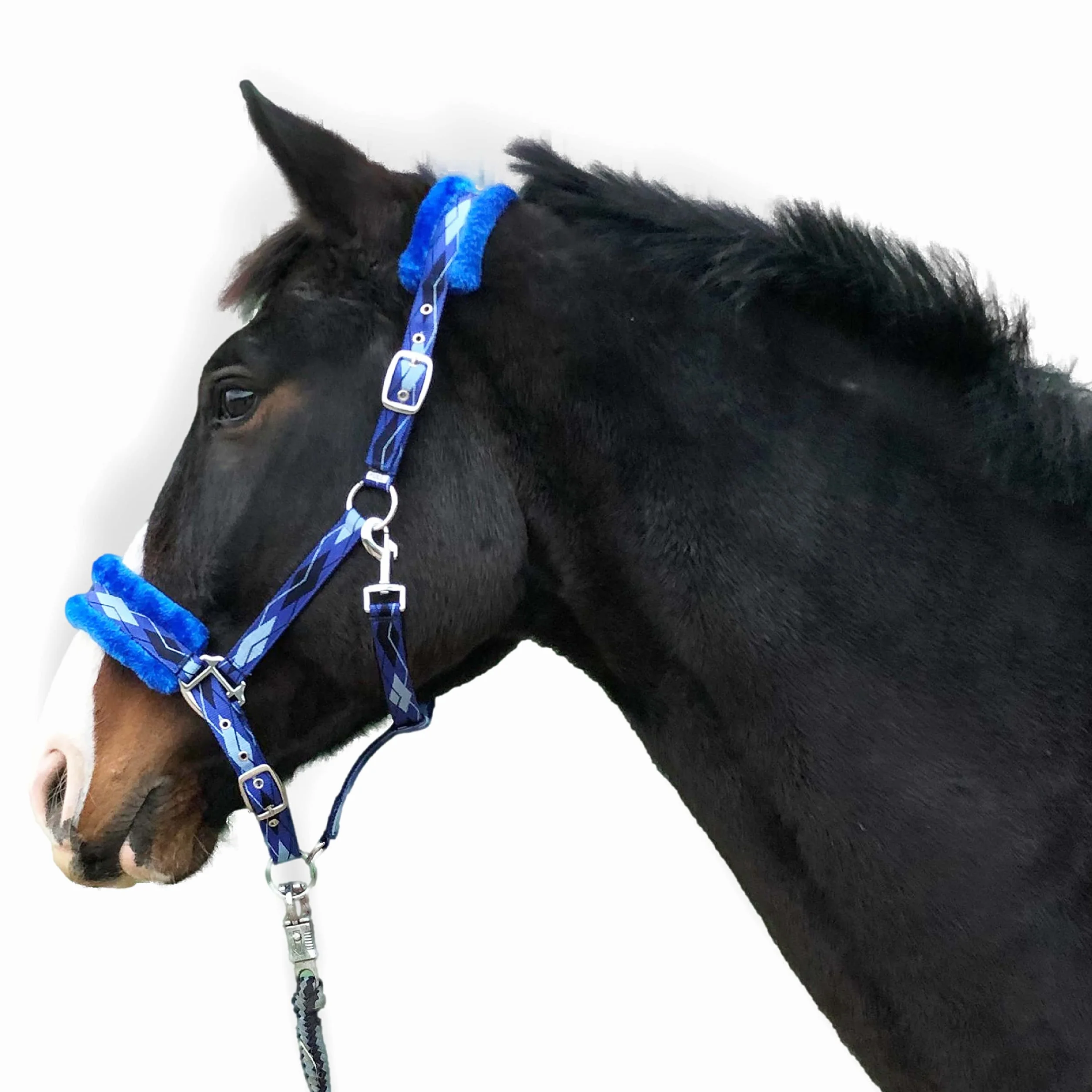 Pferdelinis Cavezza per cavalli in pelliccia cavezza foderata blu nelle taglie xfull cavezza pony, Cob, sangue caldo (blu, sangue caldo (Full))