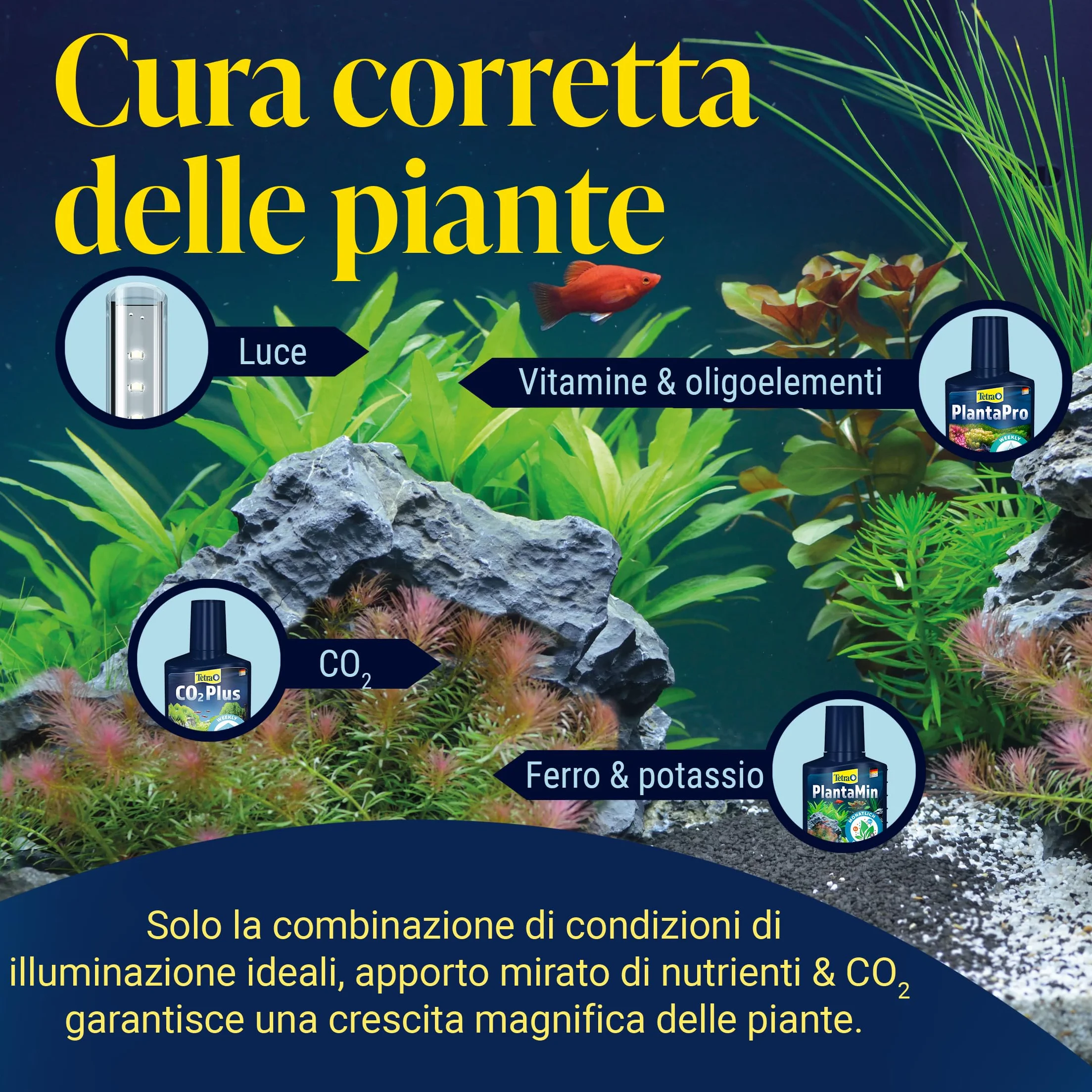 Tetra CO2 Plus - Fertilizzante liquido a base di carbonio per piante d'acquario rigogliose, flacone da 250 ml
