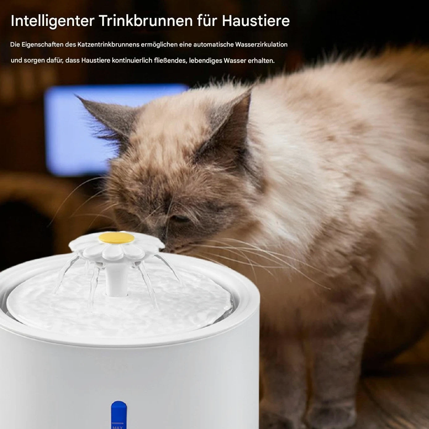 per gatti con dispenser d'acqua, ricaricabile, con automatica | 2 litri per abbeveratoio per gatti, ciotola per cani, gattini, fontana automatica per gatti e