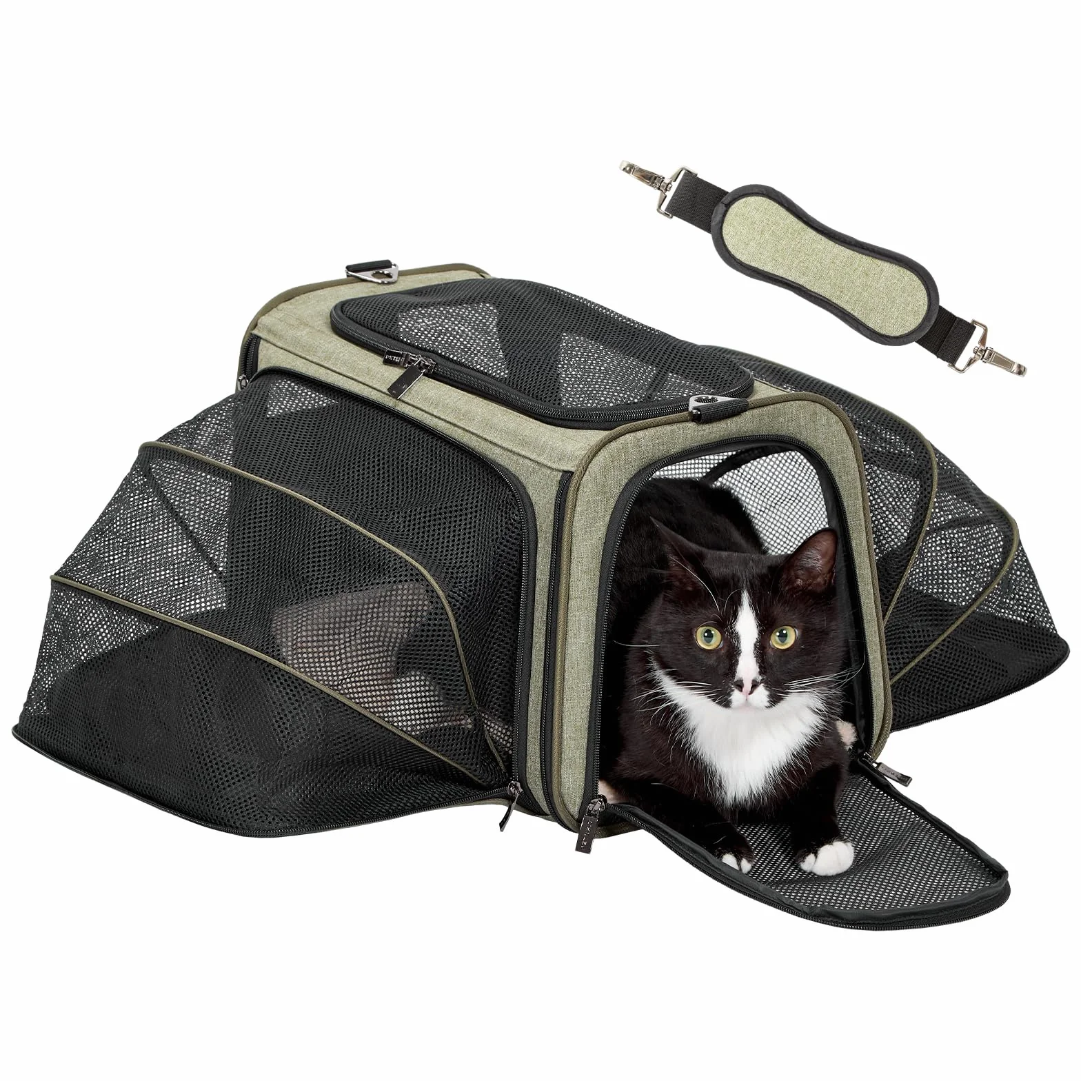 Petsfit Trasportino per gatti, espandibile, comodo trasportino pieghevole su due lati con tappetino in pile, trasportino per cani aperto nella parte superiore. Verde