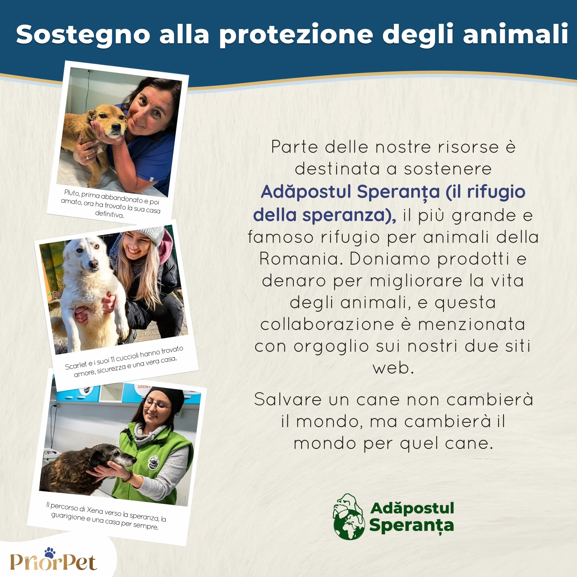 Rampa per Cani in Legno di Betulla Regolabile 18-53 cm Pieghevole per Letto e Divano