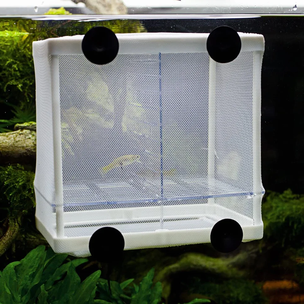 Hobby Nido 3.1 (16 x 16 x 14 cm)