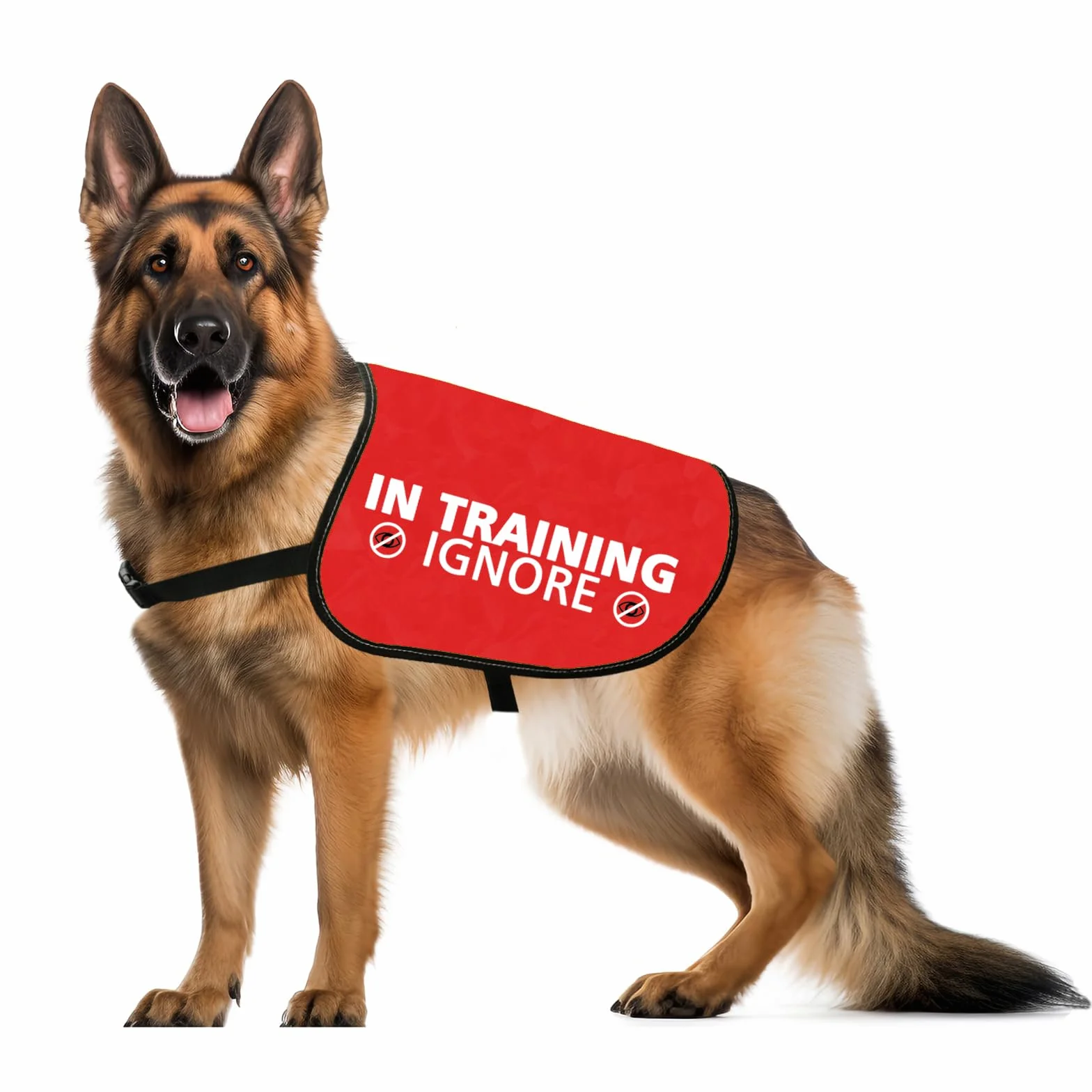 Giubbotto per cani con scritta Nervous Ansious (M)