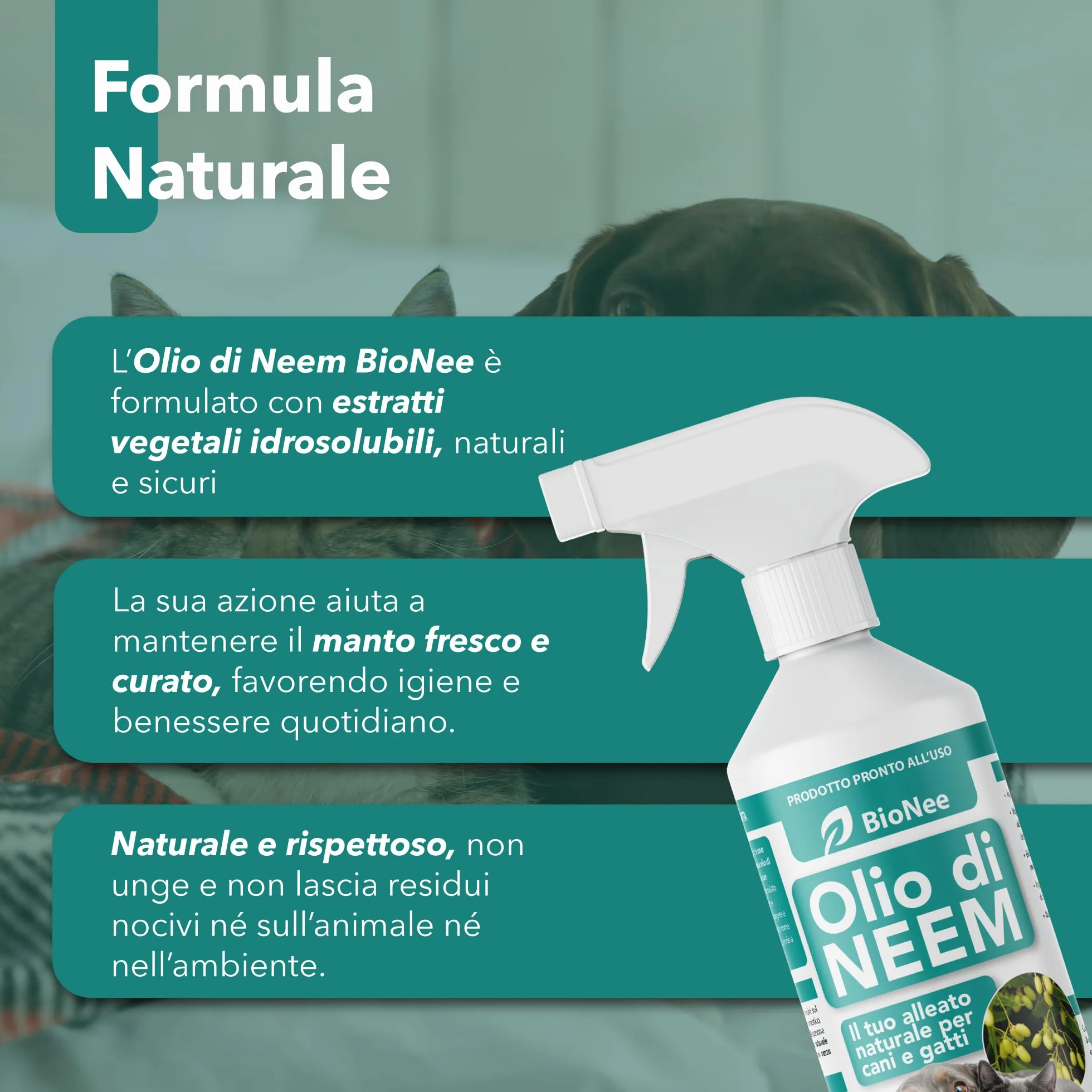 Olio di Neem per Cani e Gatti Spray 500 ml – Idrosolubile, Naturale, Non Unge – Azione Delicata, Effetto Barriera Sgradito a Zecche Pulci Zanzare Insetti
