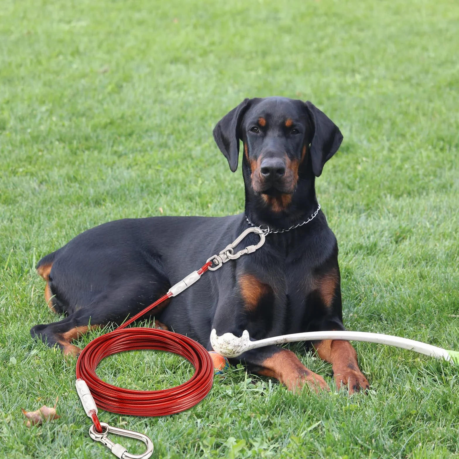Tie-Out guinzaglio per cani, 3/6/9/15 m, per il cortile, guinzaglio per cani (rosso, 9 m