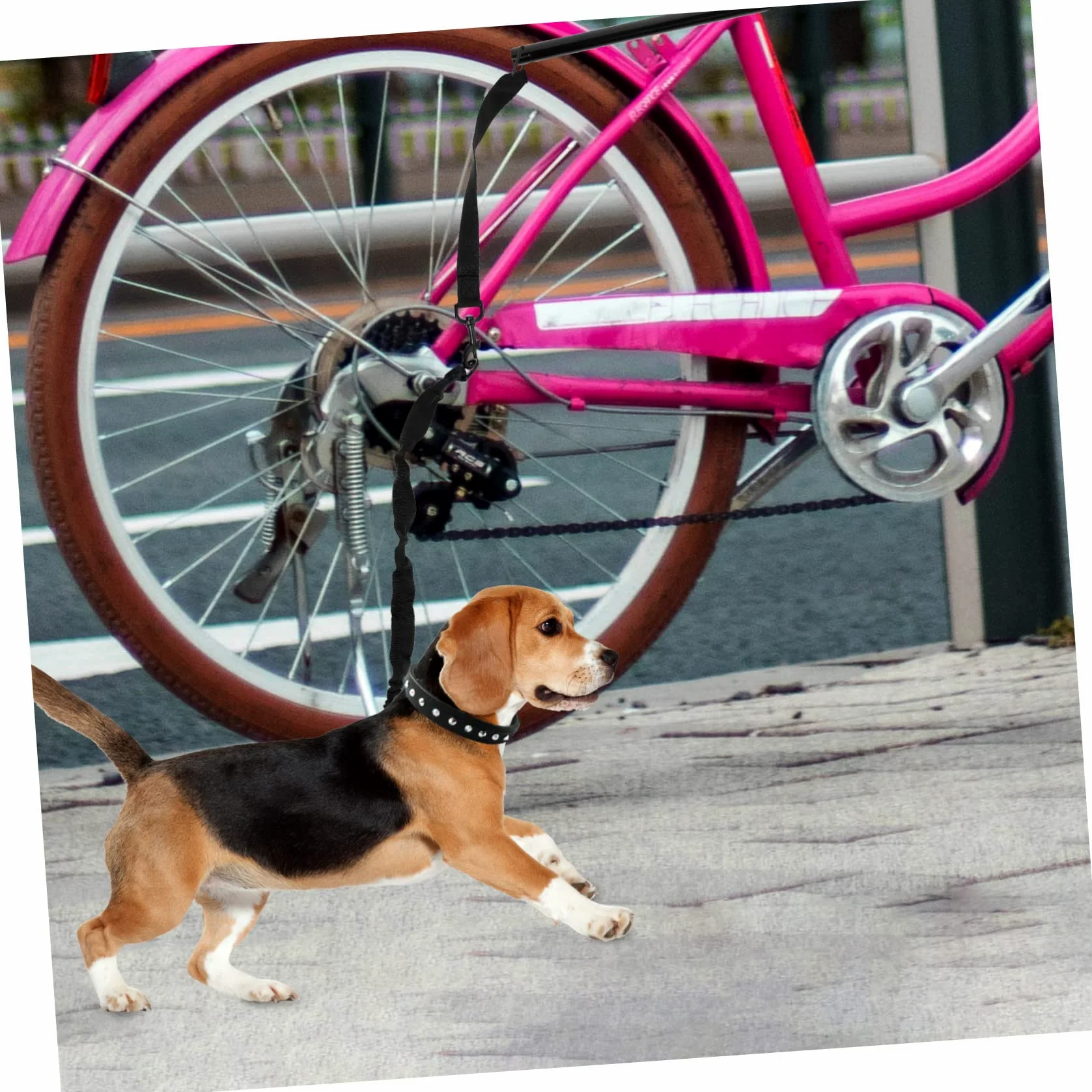 Garneck Guinzaglio Per Cani in Corda Guinzaglio Da Traino Per Animali Domestici Corda Da Trazione Portatile Per Cuccioli e Bici
