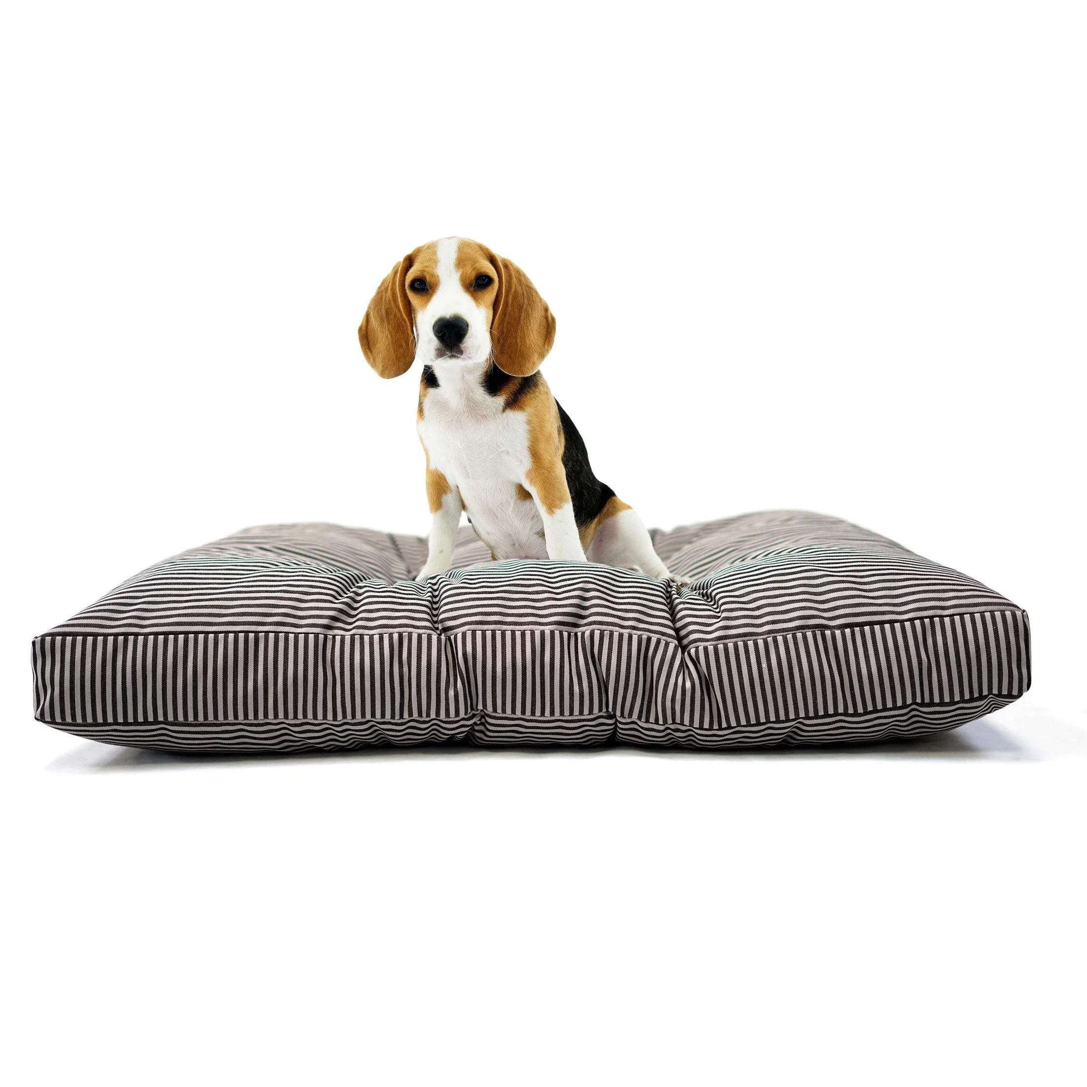 TECNOCUCI Cuscino per cani taglia media, 100% Made in Italy - Cuccia per cani interno - Facilmente lavabile