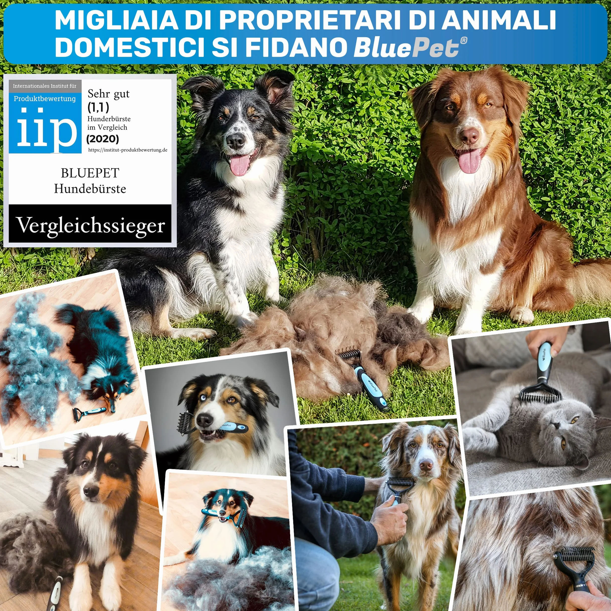 BluePet Spazzola per Cani e Gatto a Pelo Lungo e Medio, Pettine Cardatore Sottopelo Doppia Faccia