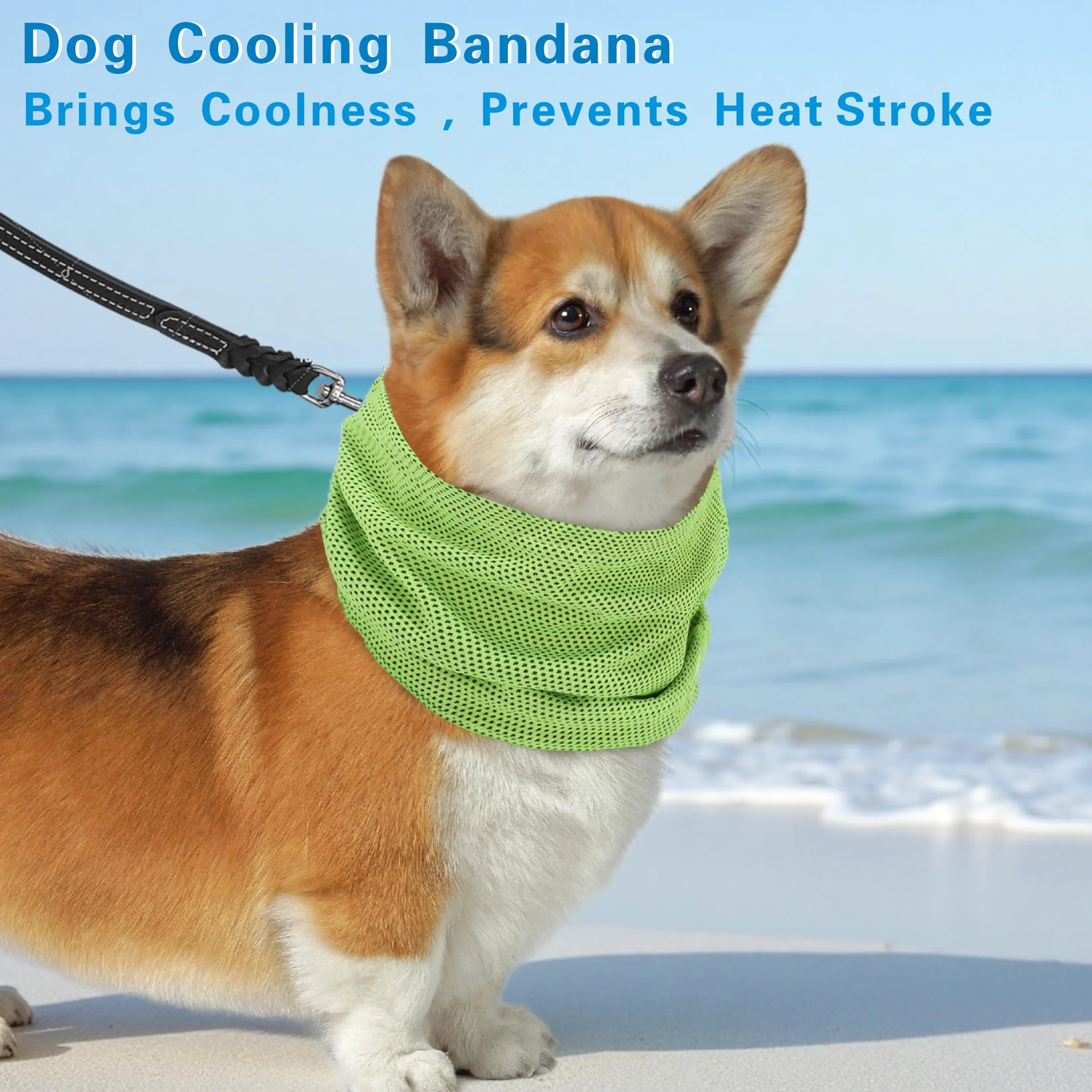 Cooling Bandana for Dogs, Collare Rinfrescante Cane, Sciarpa Raffreddamento Verde-S