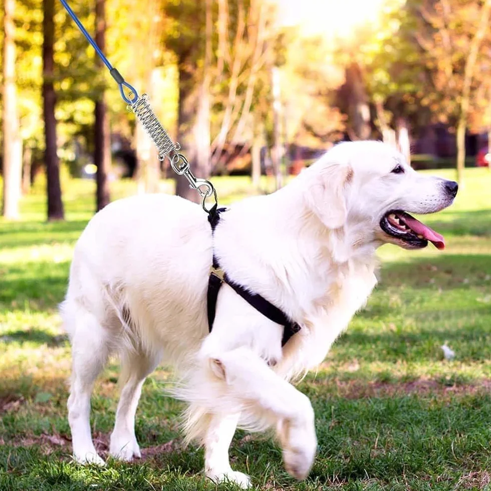 Cavo per legare cani da 5 m, resistente con molla, nessun groviglio, cavo per legare il palo del cane, antiruggine, con ganci in metallo, per cortile, campeggio e attività all'aperto, per cani di