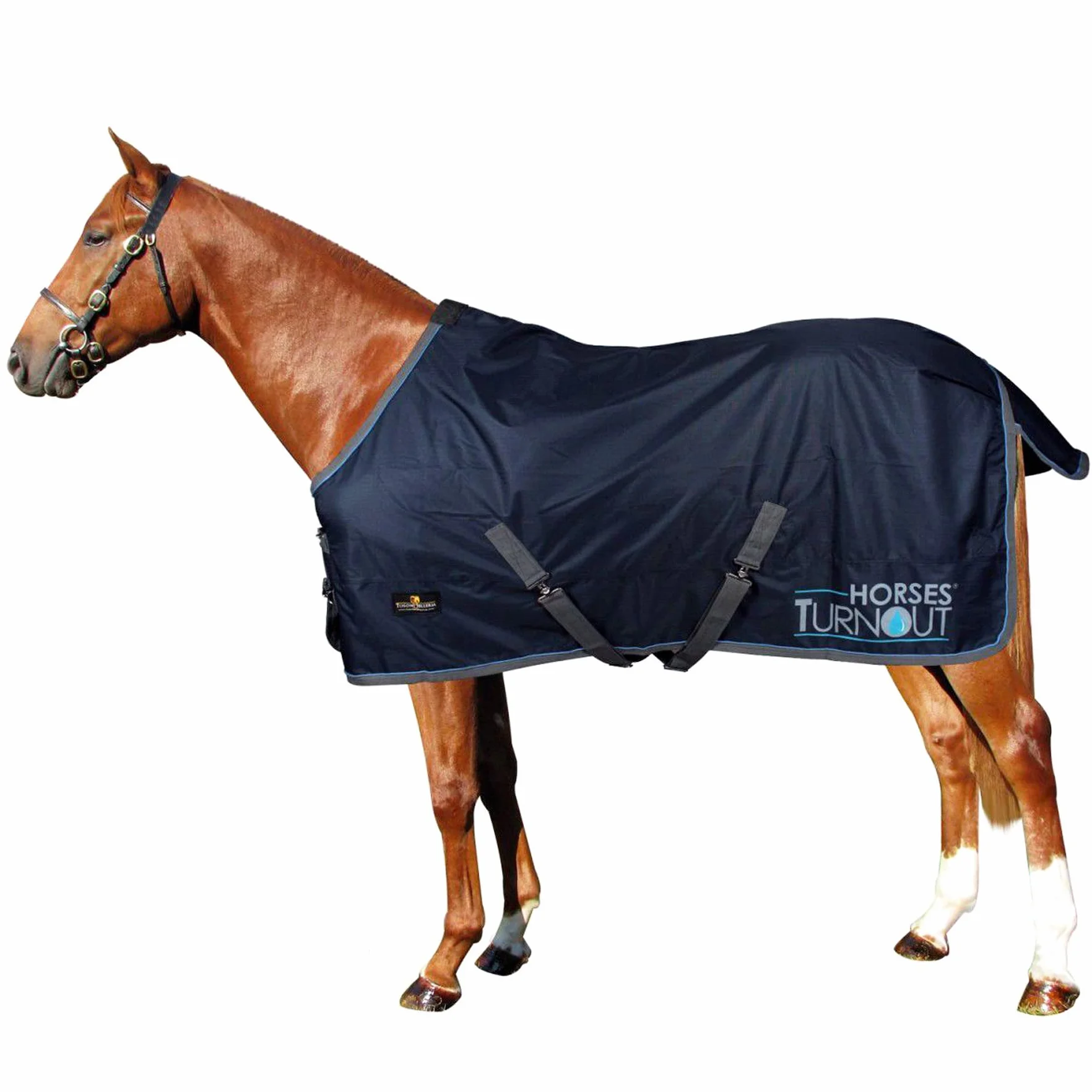 Horses, Coperta da Paddock per Cavallo Turnout, Impermeabile, Resistente, con Cinghie ad Incrocio, Disponibile nel Colore Blu