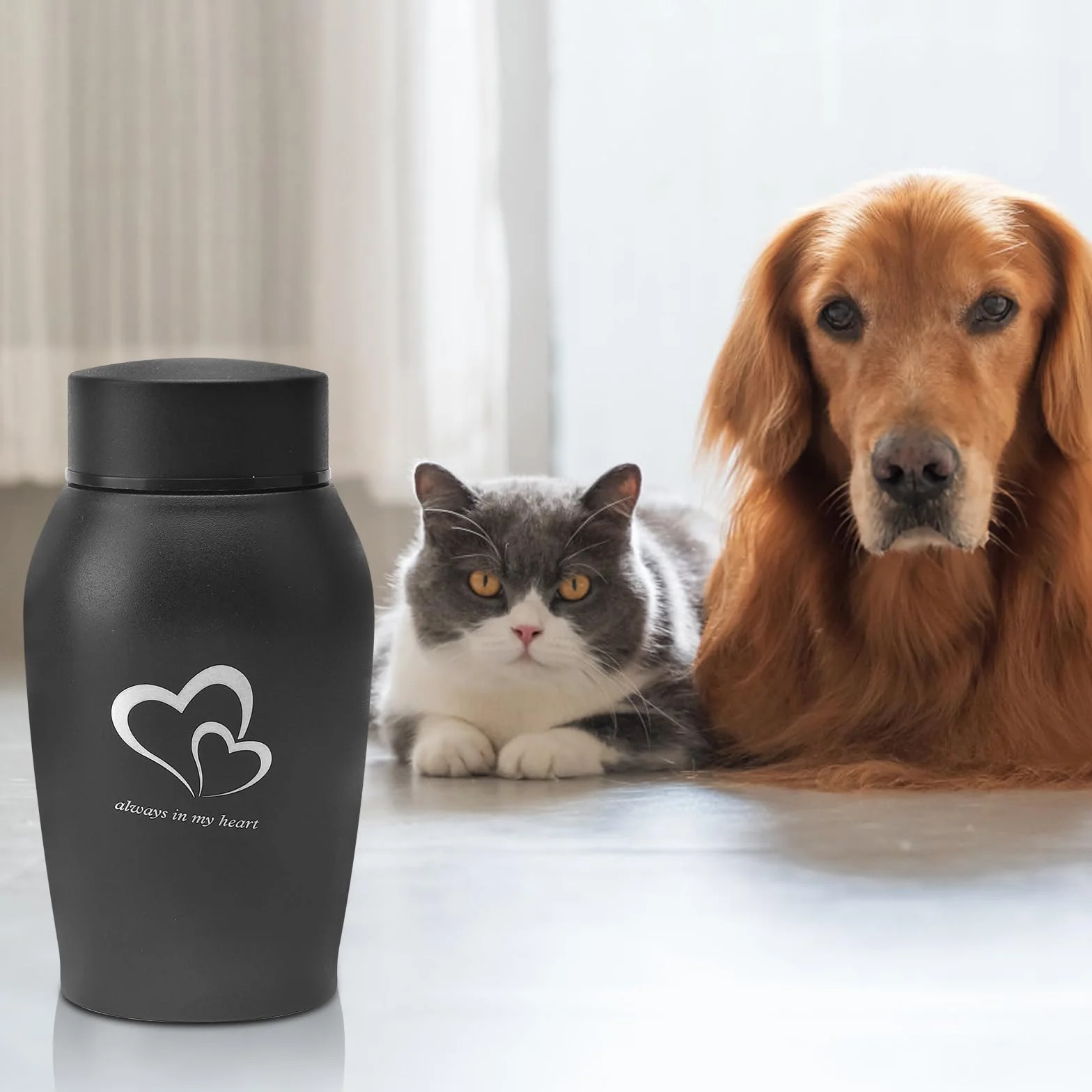 Urna per cani e gatti, urna in acciaio inox con penna