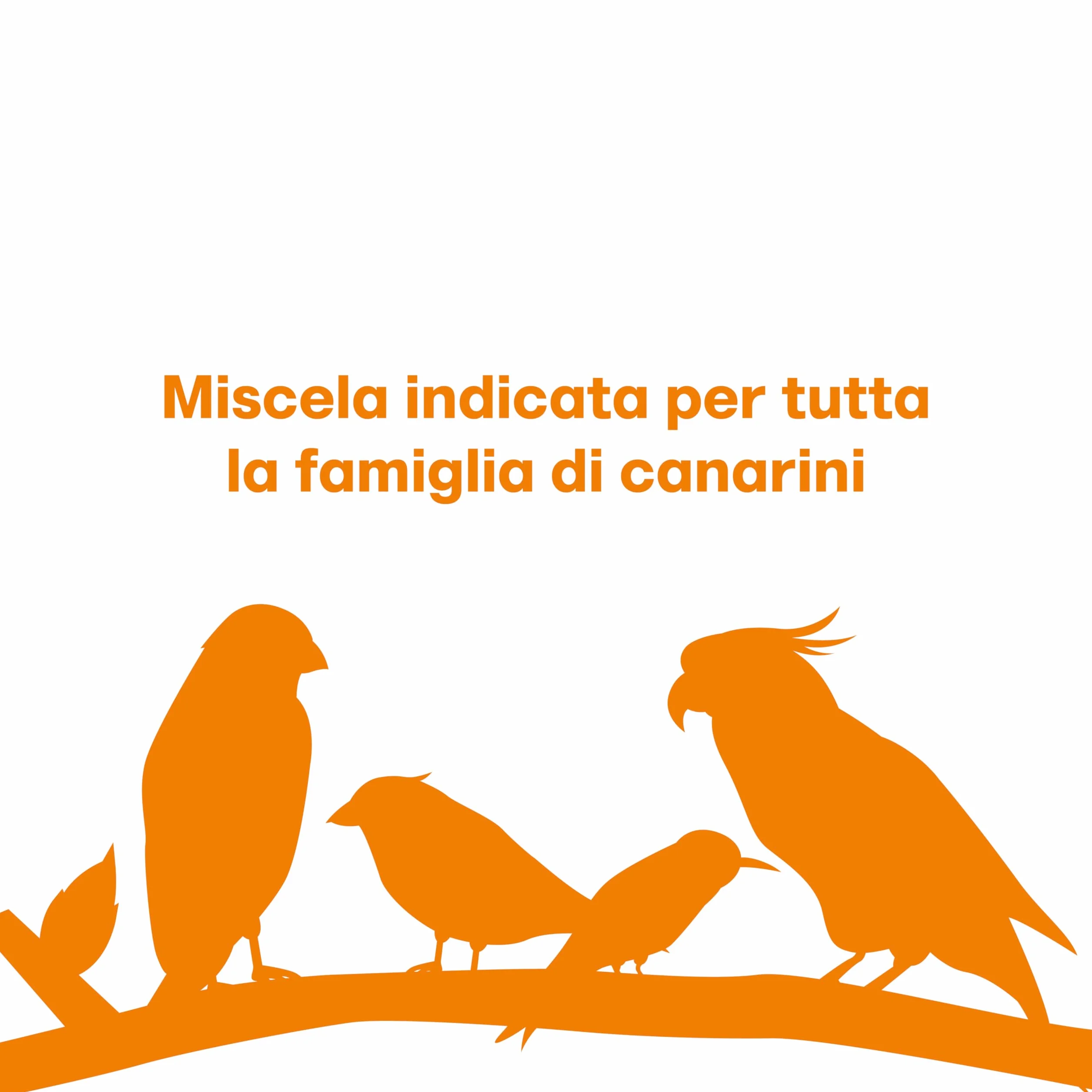 Il Contadino - Antichi Becchimi | MISCUGLIO per CANARINI | Formula Ricca di Semi Selezionati Adatta per Tutto L'Anno, No OGM, 100% Vegetale, Assenza di scarti. qualità Superiore (1 kg)