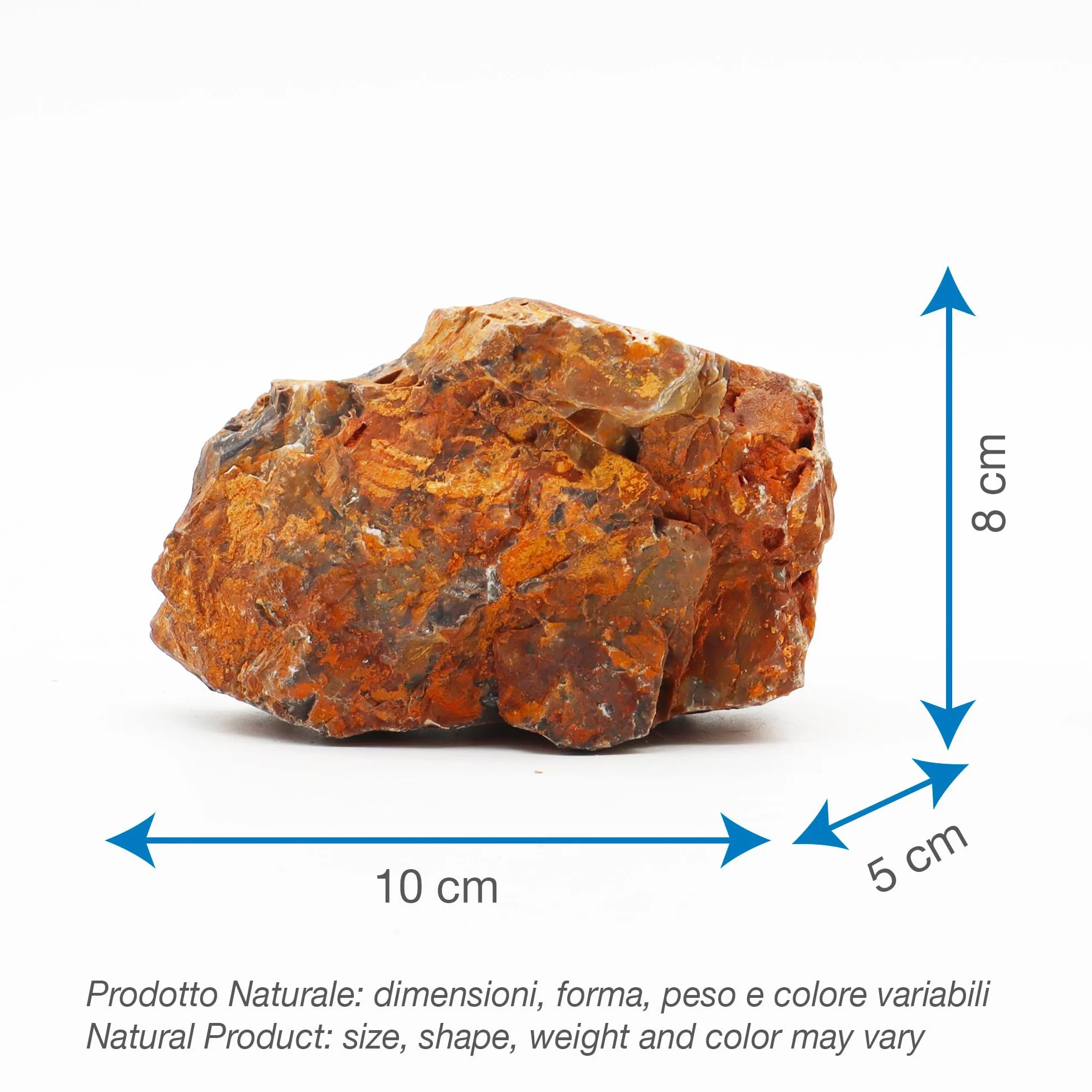 Amtra - Roccia Petrified, decorazione per acquario, naturale, non calcarea, 1 KG