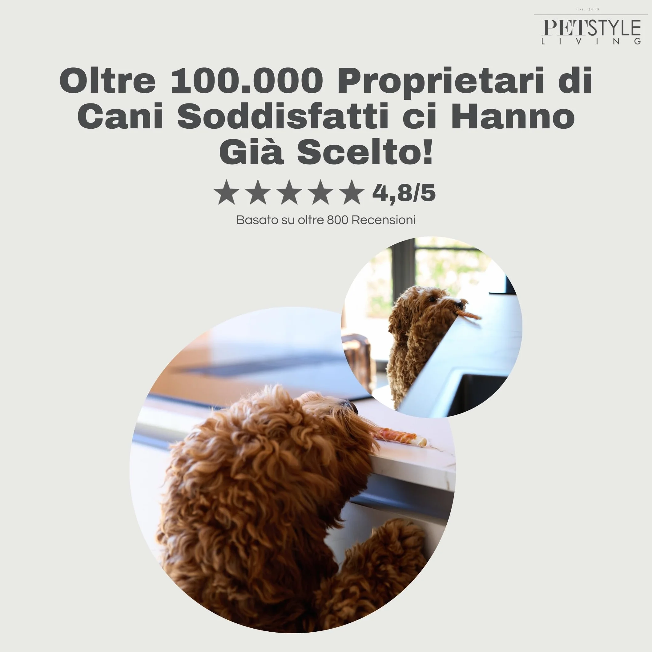 Bastoncini da Masticare con Anatra - Snack per Cani - 12,5cm - 100 Pezzi