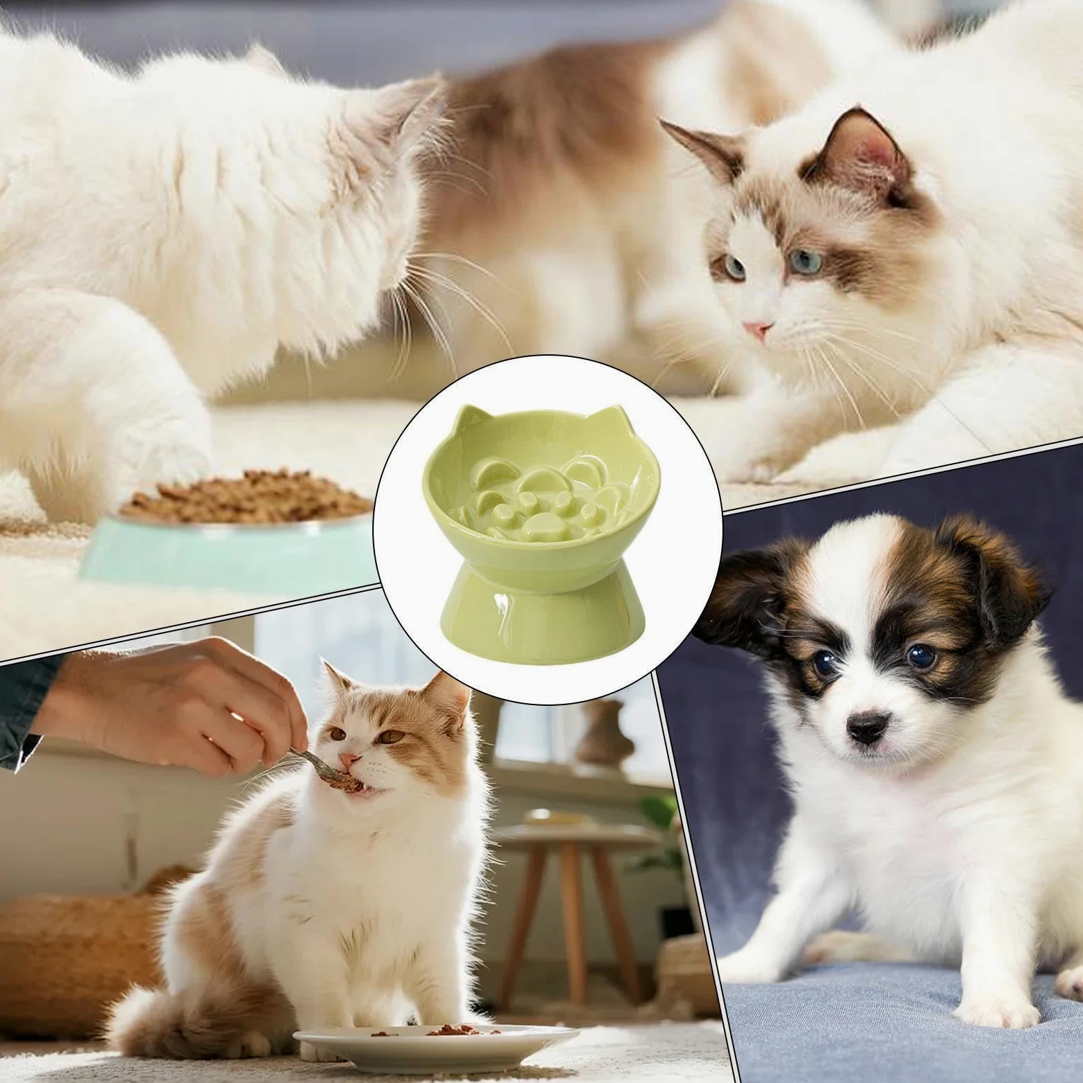 Ciotole Rialzate per Gatti Mangiatoia Lenta Anti-Ingordigia in Ceramica | Ciotole Sopraelevate Per Gatti per Interni Soggiorno Cucina Casa Appartamento Terrazzo