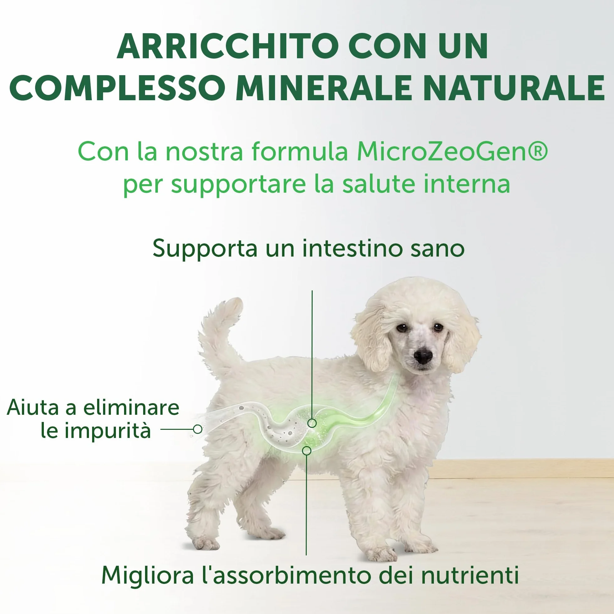 Nature’s Protection Superior Care Crocchette Cani ad Alto Contenuto Proteico - Cibo per Cani Junior Bianchi Ipoallergenico con Pesce Bianco - Omega 3 e 6 - Contro le Macchie da Lacrimazione (1,5 kg)