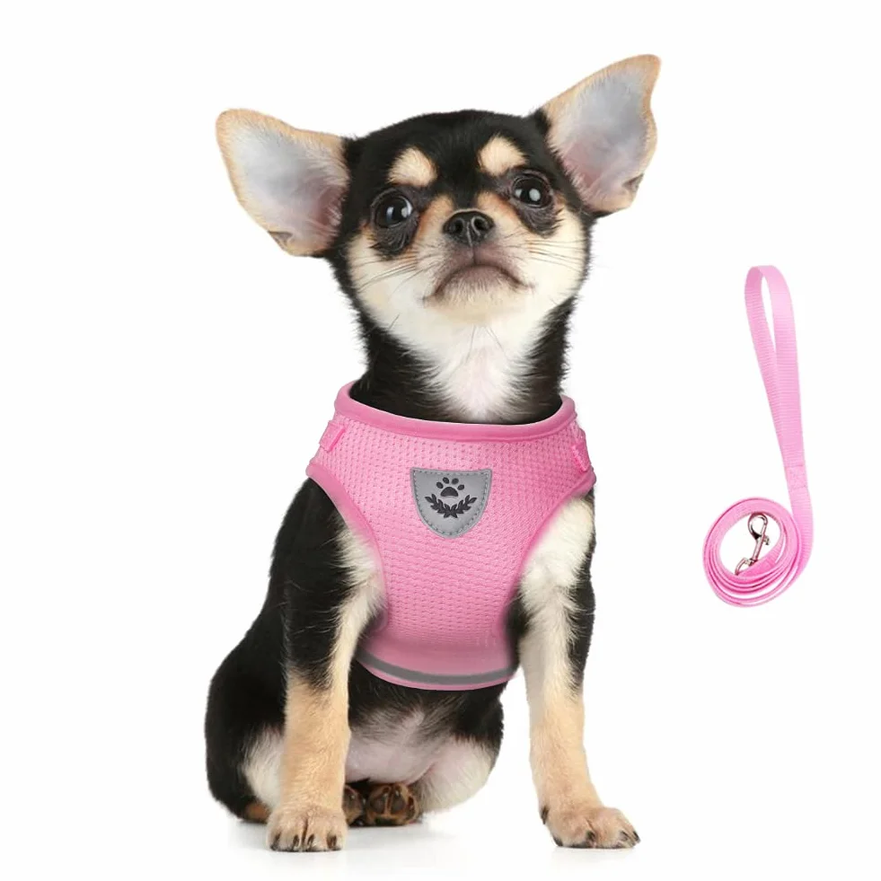 FEimaX Imbracatura e Guinzagli Set per Cani, Pettorina Imbottita a Morbida per Cuccioli e Gatti, Imbracature di Traspiranti Regolabili Riflettenti per Camminare, Corsa, Allenamento
