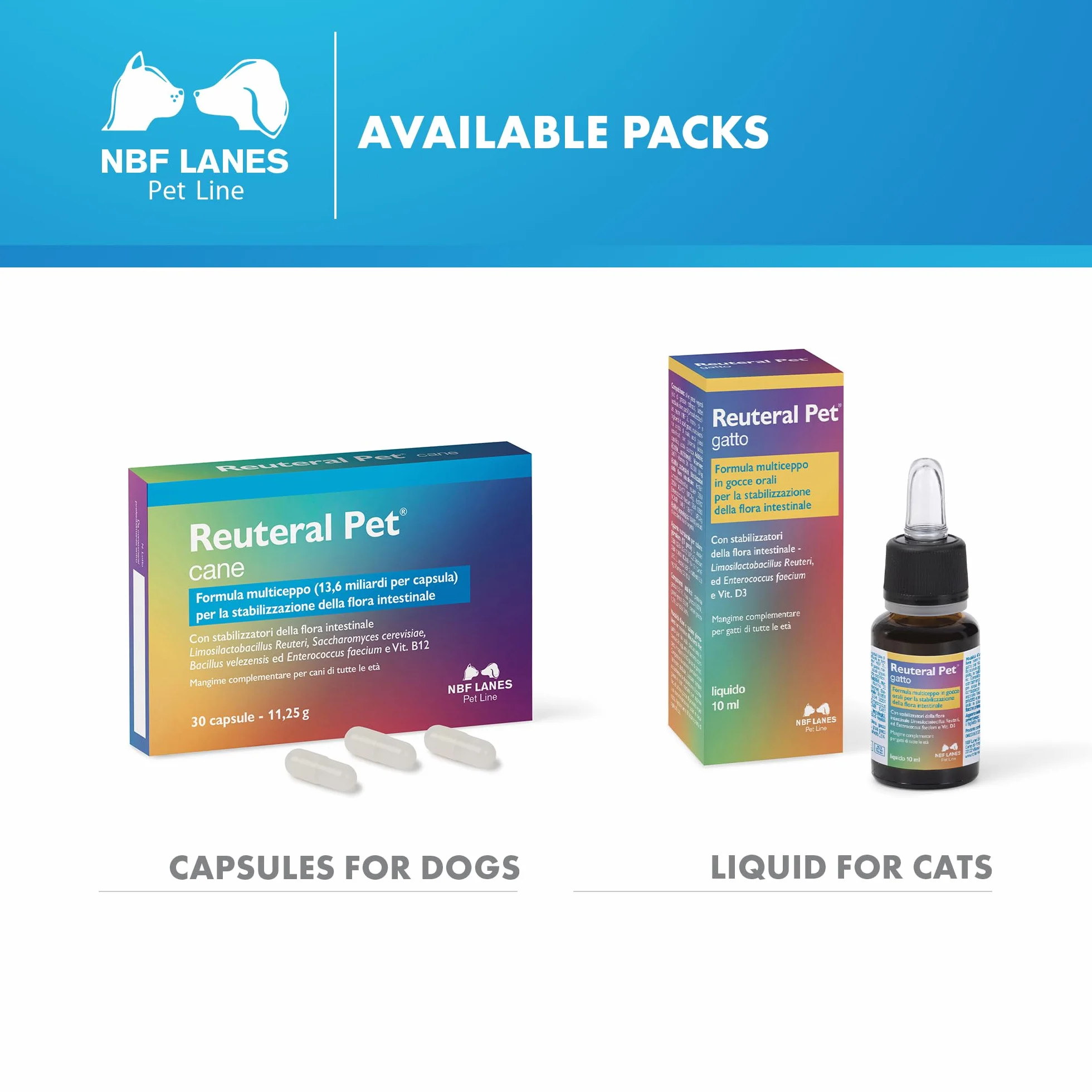 NBF Lanes | Reuteral Pet Cane, 30 Capsule, Probiotico a base di fermenti lattici vivi per la stabilizzazione della Flora intestinale nei Cani