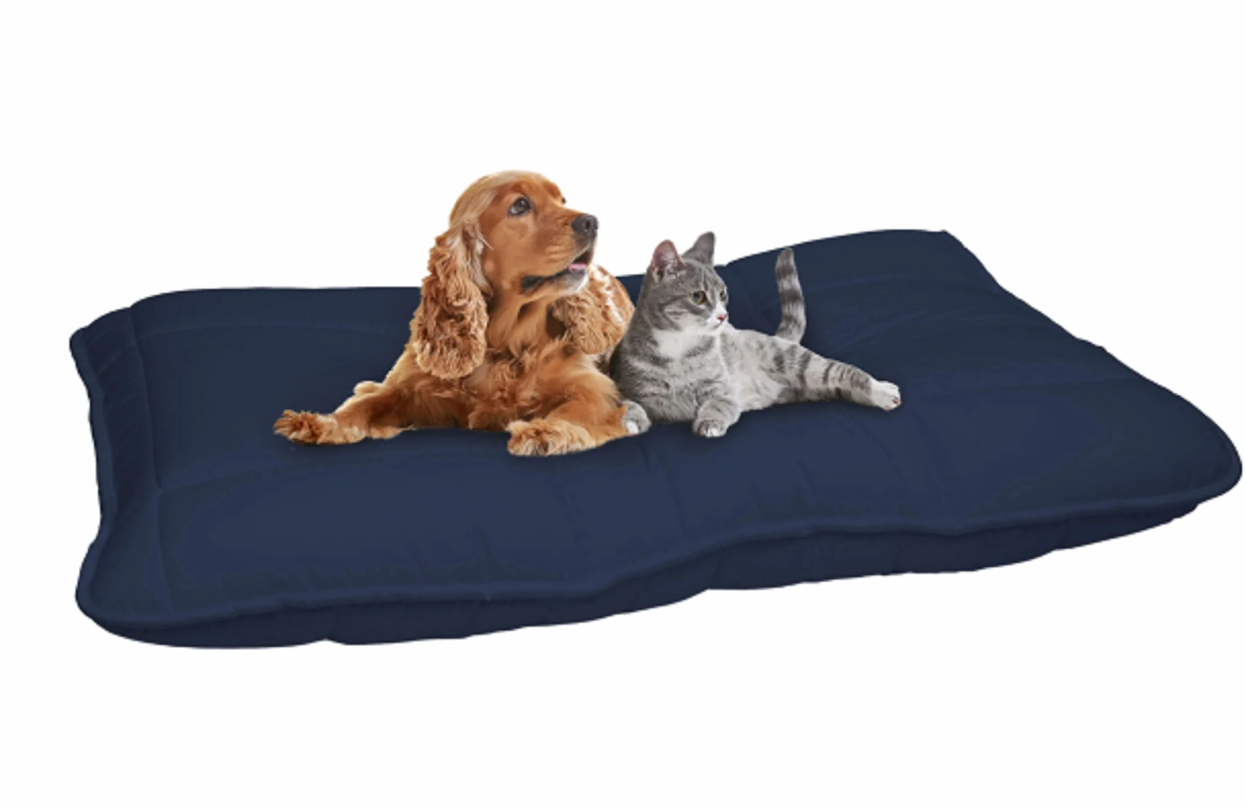 Cuscino per Cani e Gatti - Cuscinone 100x60cm, Made in Italy- Letto per Cane di Taglia Grande, Media e Piccola - Cuccia Materasso Imbottito in Morbida Microfibra Blu Scuro