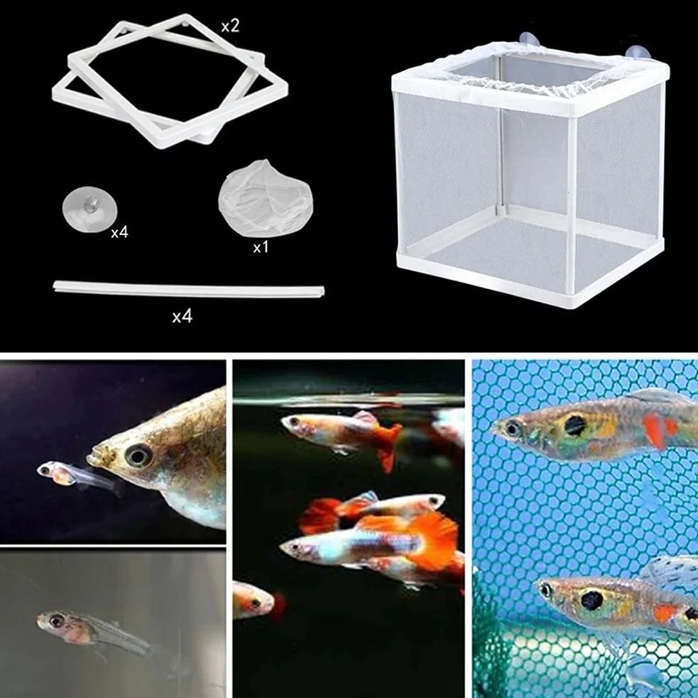 Rayong 2 Pcs Incubatore di Pesce, Scatola di Maglia per Allevamento in Acquario, Serbatoio per Incubazione e Riproduzione dei Pesci