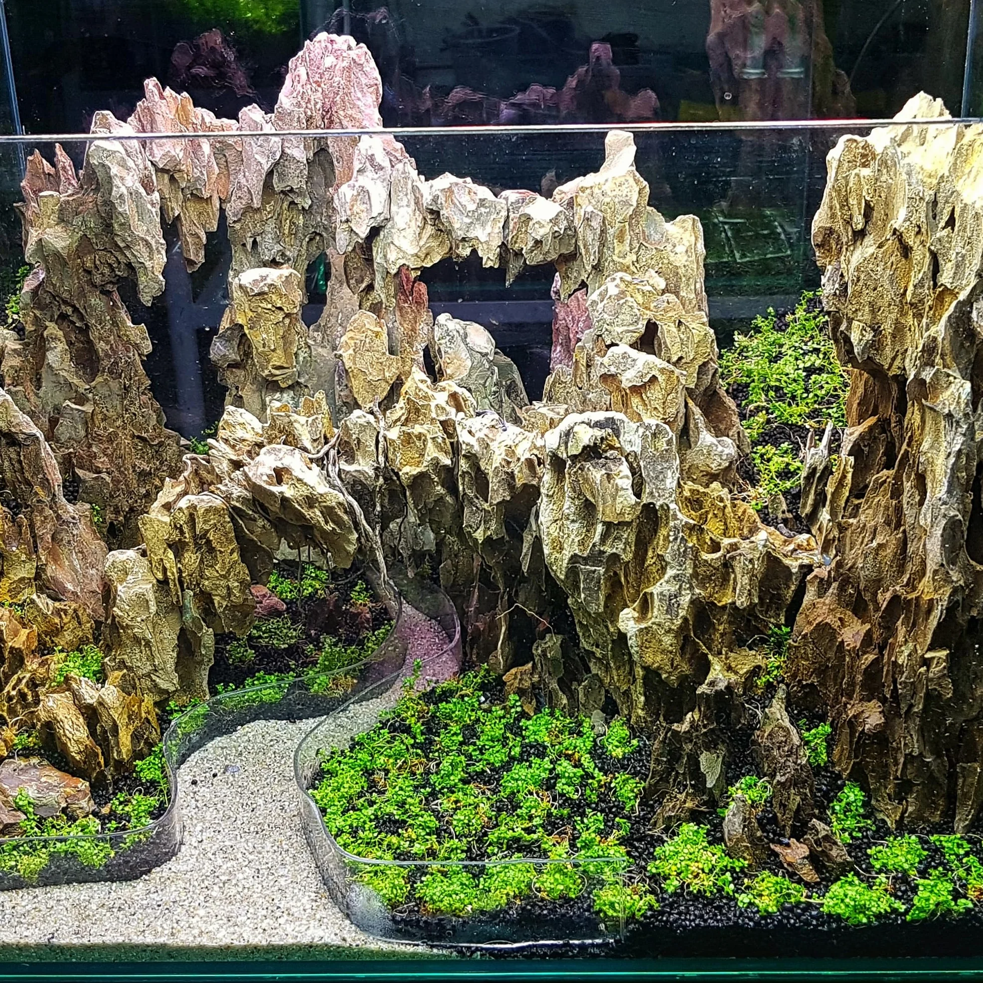 Pietra Naturale del Drago da 15,5 a 20,3 cm, 6 Pezzi per Acquario, paesaggistica, terrari, Decorazione per acquari, vivari, paludari, rettili e Anfibi
