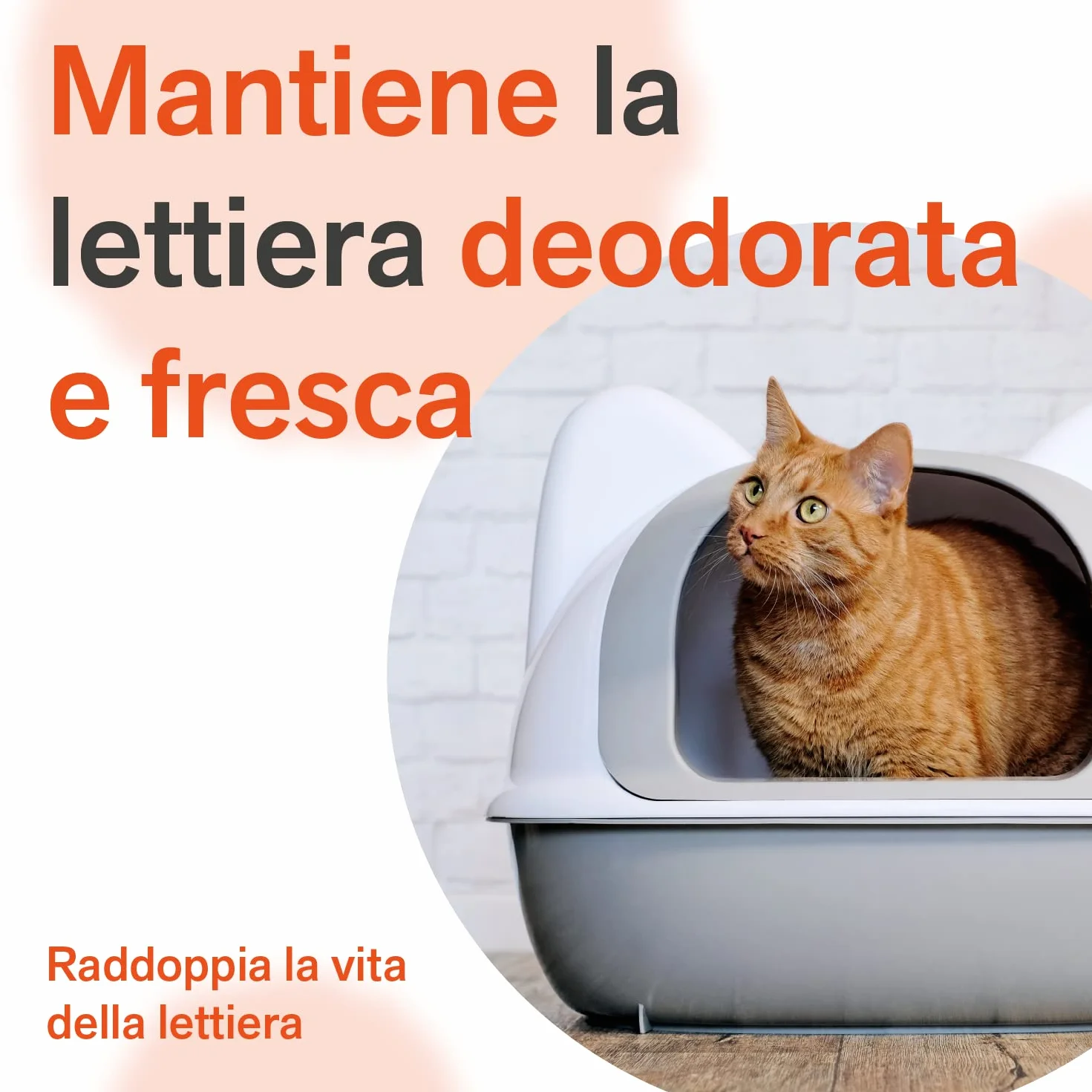 BactPro BactPets elimina odori e macchie per cani e gatti spray 700 ml