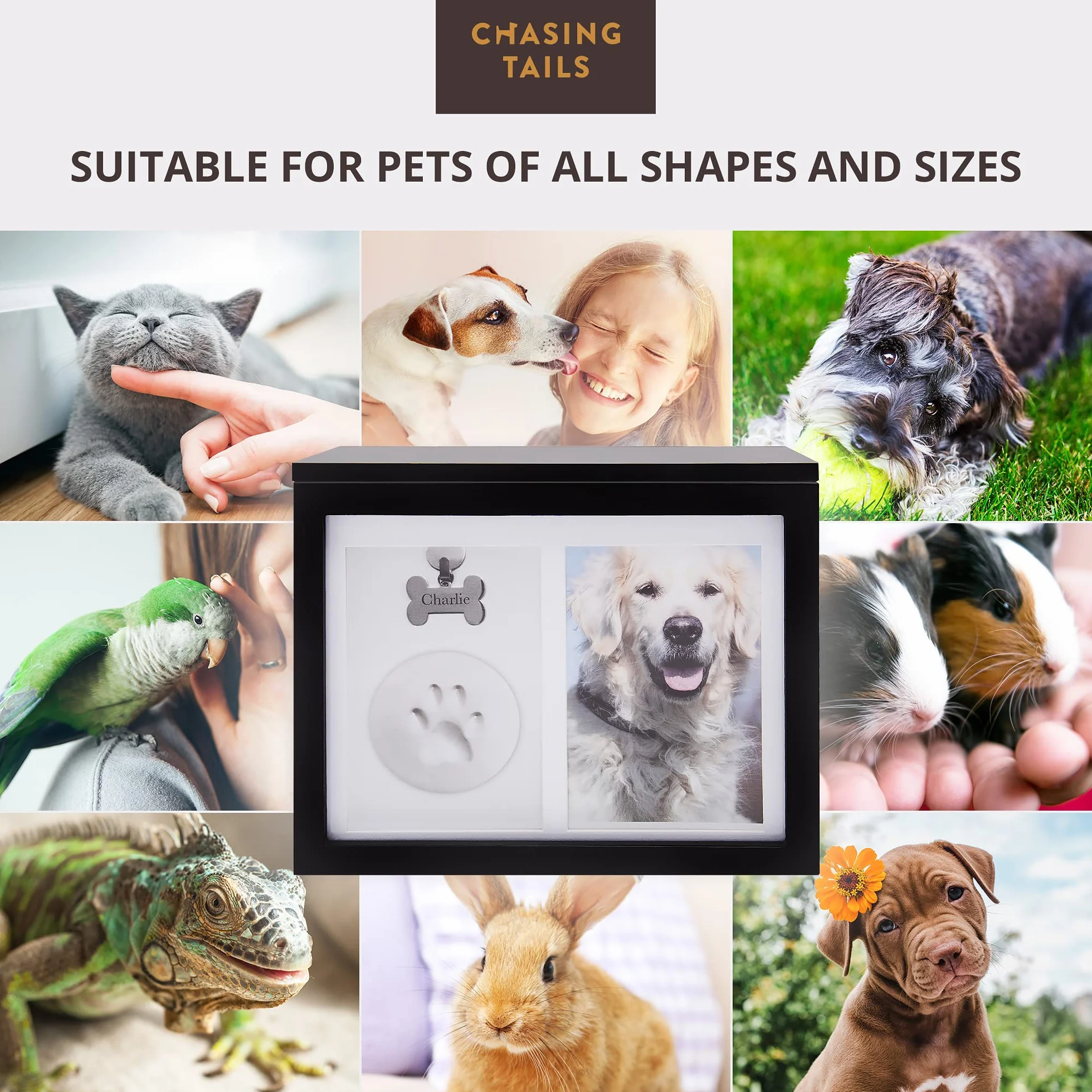 Chasing Tails Urne Commemorative per Cani per Ceneri – Urne Commemorative per Cani per Ceneri Personalizzate, urne per Gatti per Ceneri per Cani Piccole – Include Kit per Stampa di Zampe, Cornice e