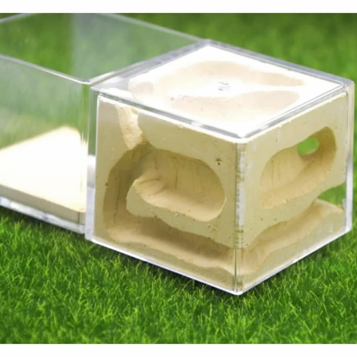 Formicario Castello Di Formiche Nido In Gesso Fattoria Palazzo Per Bambini Habitat Nido Terrario(White)