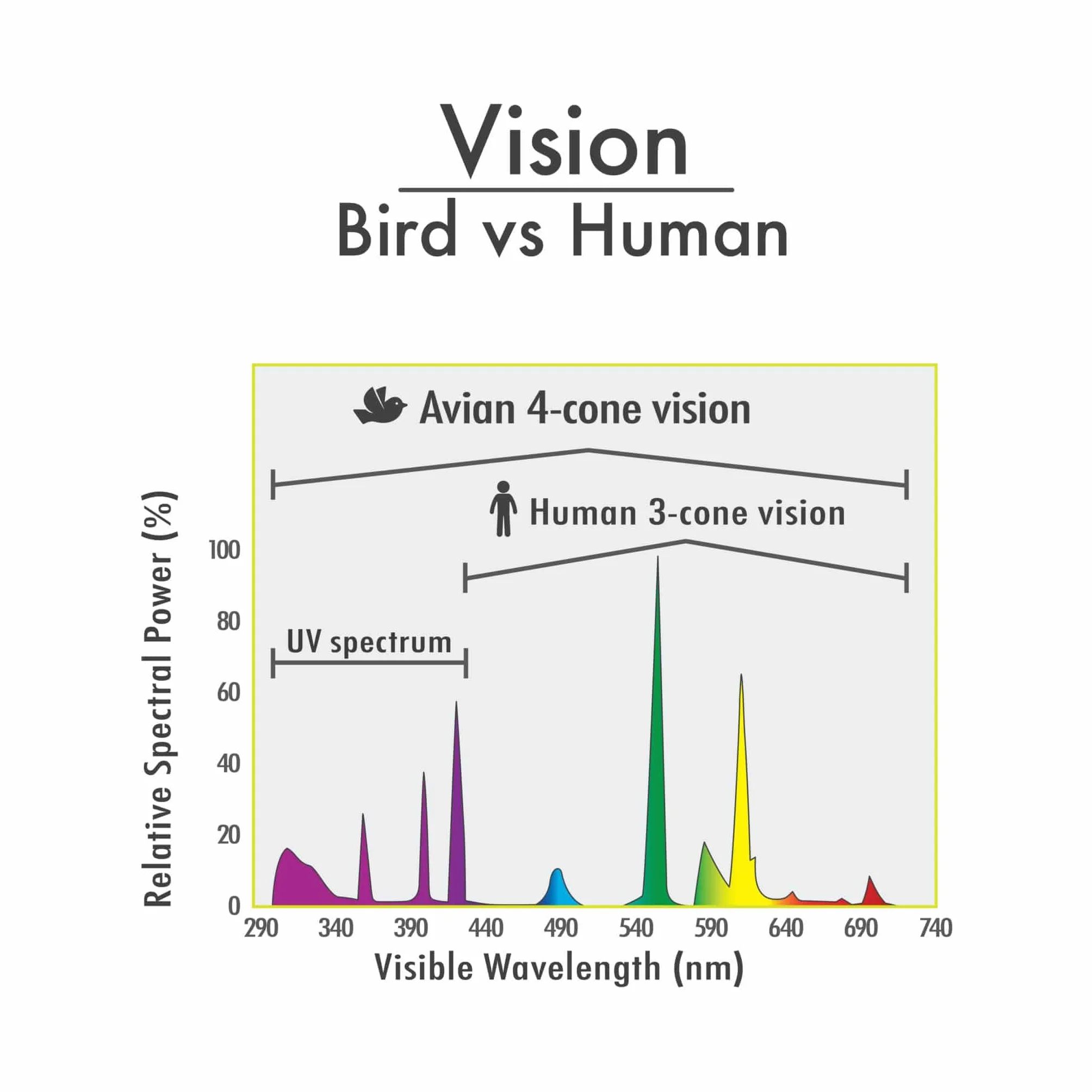 Lampade compatte Fluorescente UVA/UVB Mini Hari Vision 9 W