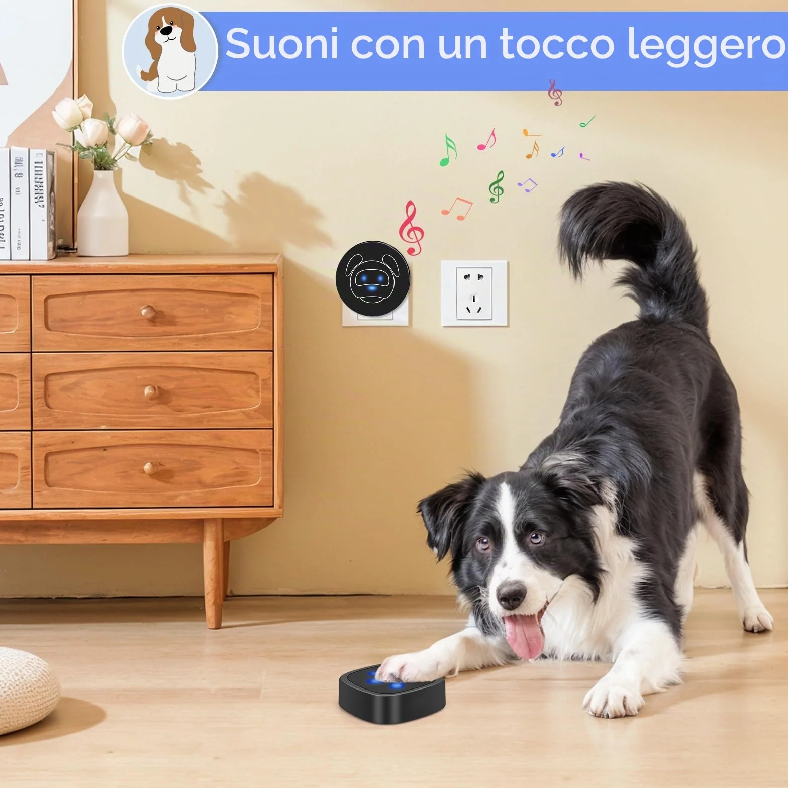 Campanello per Cani Whimsii, Campanello Wireless per Uscire, Pulsanti Impermeabili IP55, 55 Melodie, 4 Livelli di Volume e Portata di 950 Piedi (Nero, 1 Ricevitore, 2 trasmettitori)