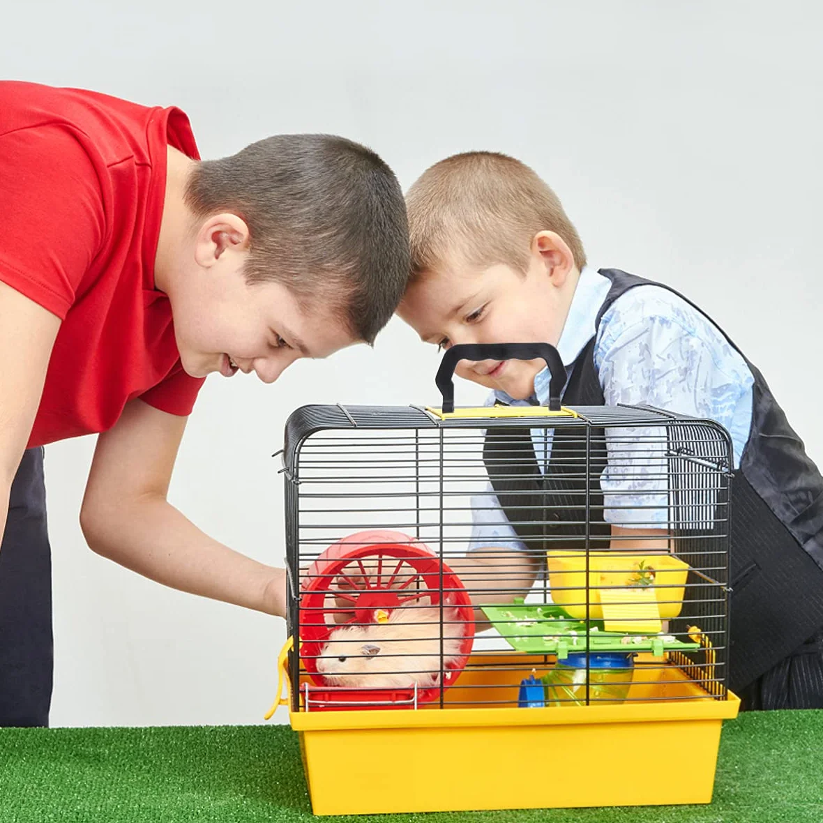PATKAW 10 Pezzi Maniglia Gabbia Sostituzione Vassoi Canile per Animali Domestici Plastica
