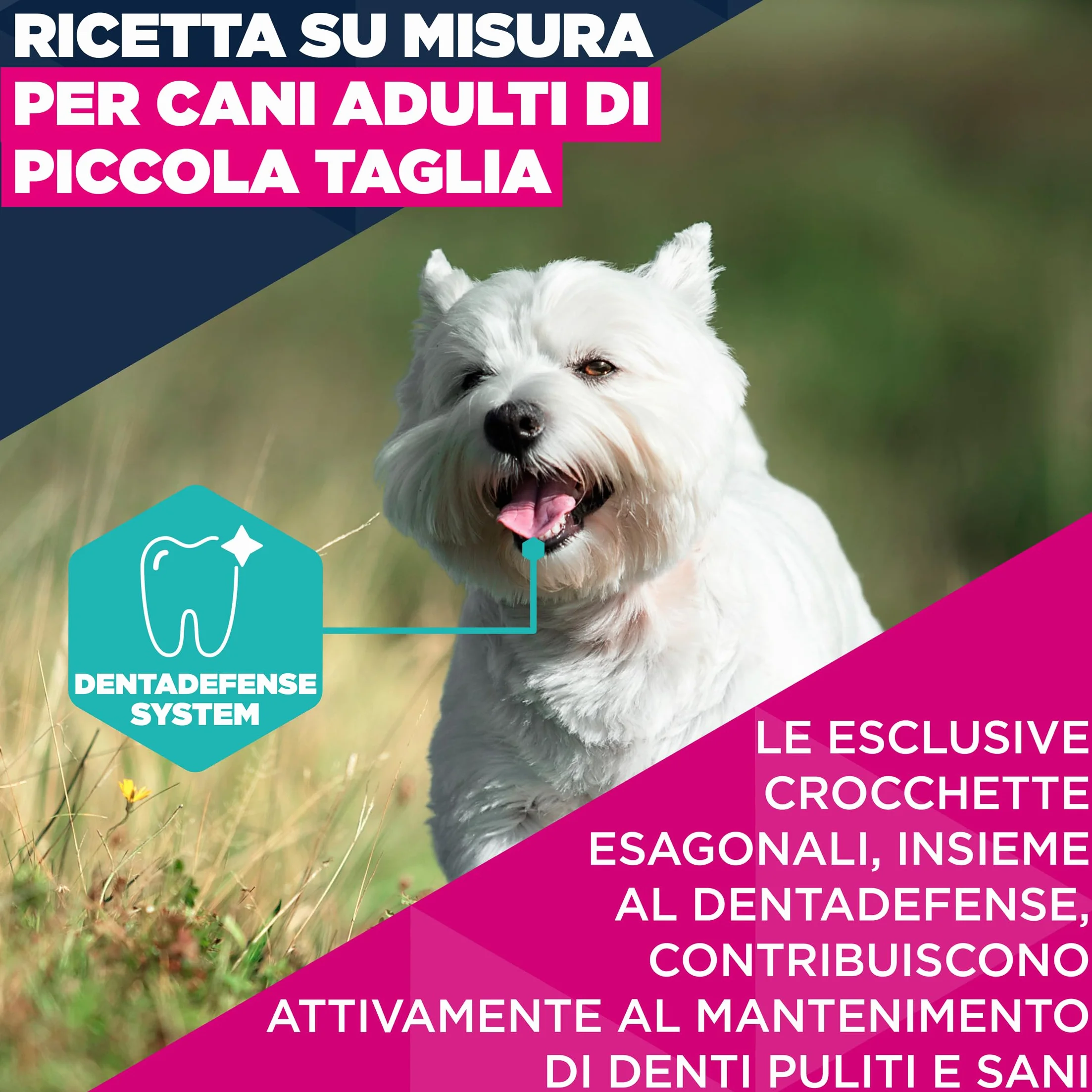 EUKANUBA Cibo secco per Cani con pollo fresco per razze di taglia piccola - Alimento secco premium per Cani adulti, 3 kg