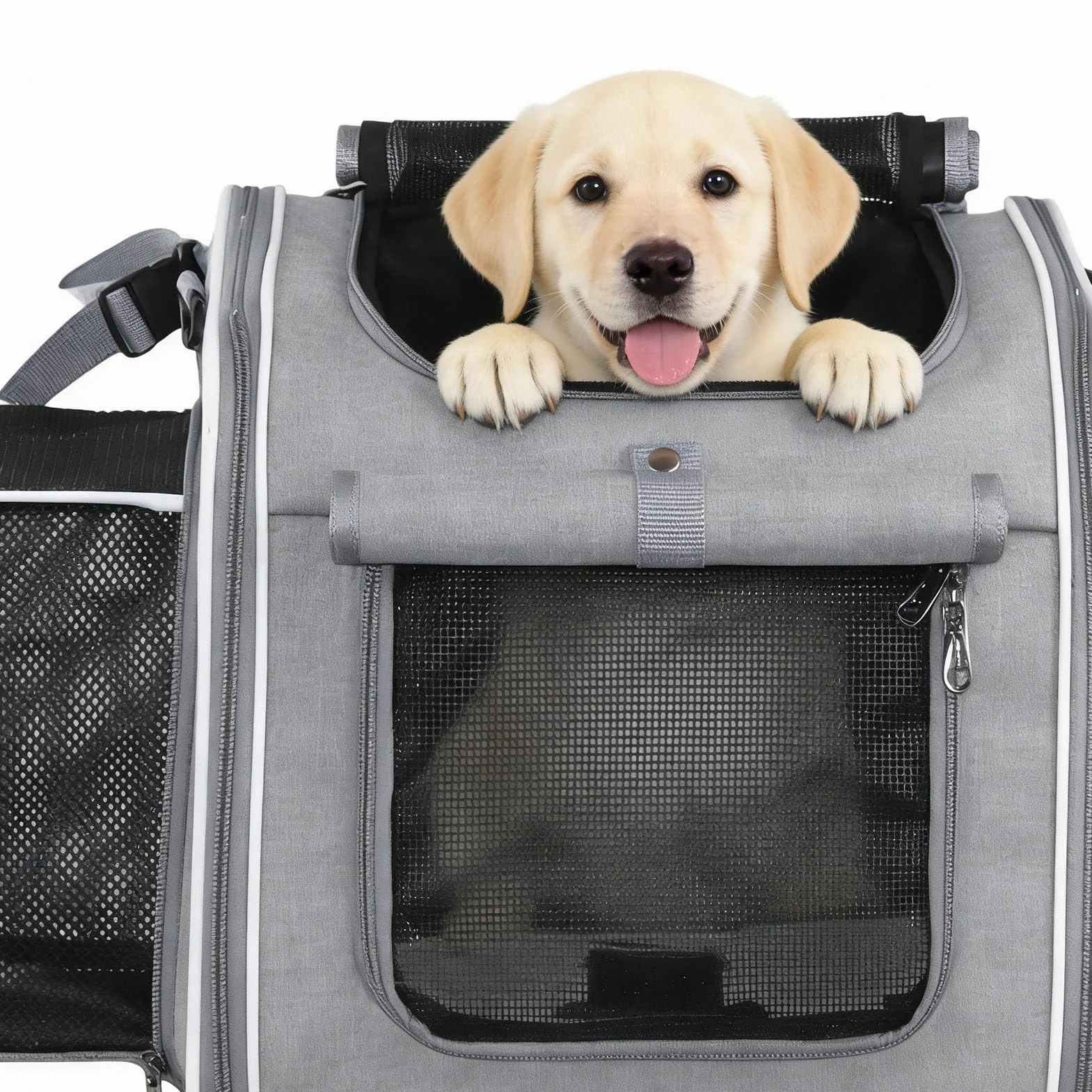 Cestino per Cani da Bici Fino a 8 Kg di Peso 4 Porte, 4 Mesh, Design Morbido Zaino Porta Animali da Bici con Finestre Robusta Struttura in Metallo Tessuto Oxford Resistente (GREY)