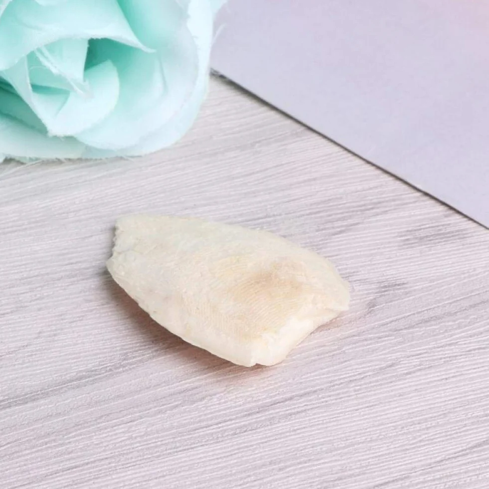 Naturali Osso di Seppia Pappagalli Giocattoli Masticazione Uccelli Gabbia Rettili Tartarughe Lumache