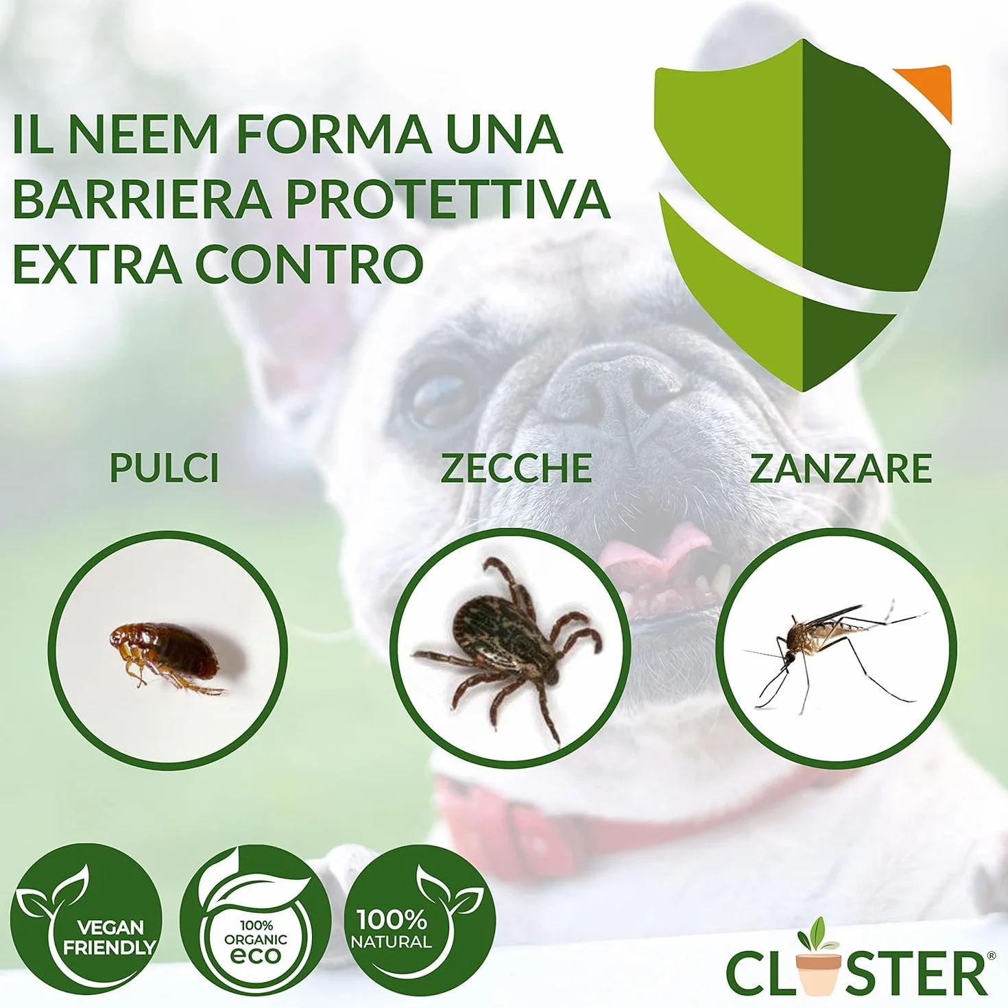 CLOSTER Neem Pet Protection 750 ml Antiparassitario Cani e Gatti Spray Repellente Insetti
