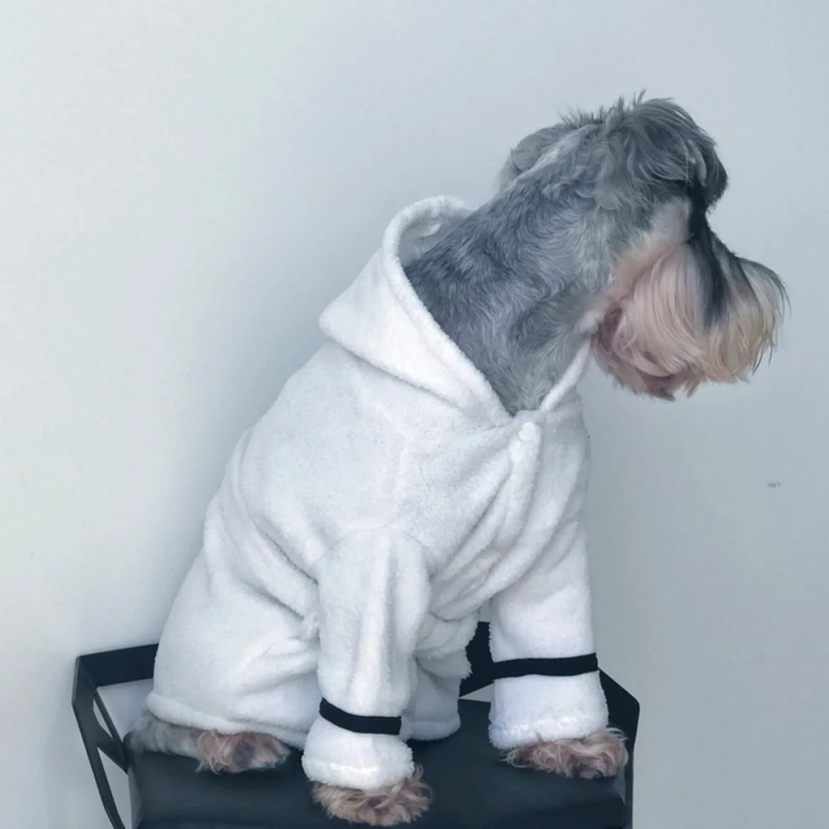 Accappatoio Assorbente per Animali, Asciugatura Rapida, Cotone | Bianco, per Cane e Gatto, Uso Dopo Bagno Autunnale, Stile Morbido e Caldo