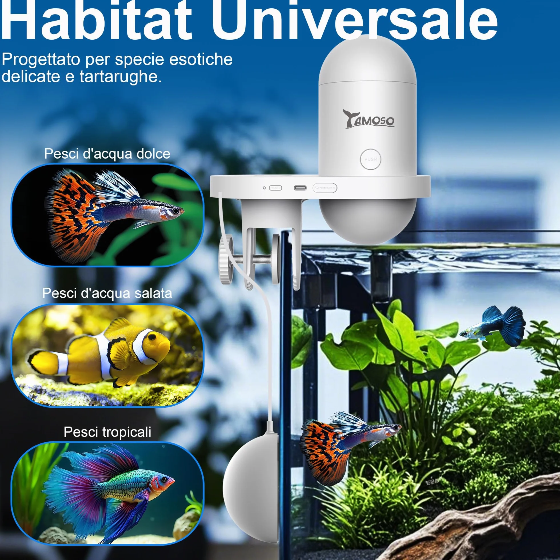 Mangiatoia Automatica WiFi Smart, Camera 2.5K, App 2.4/5G, Dosaggio 0,2g Cura Vacanze, Serbatoio 230ML Anti-Appannamento, Timer, Notifiche, Acquario Marino, Acqua Dolce e Tartarughe