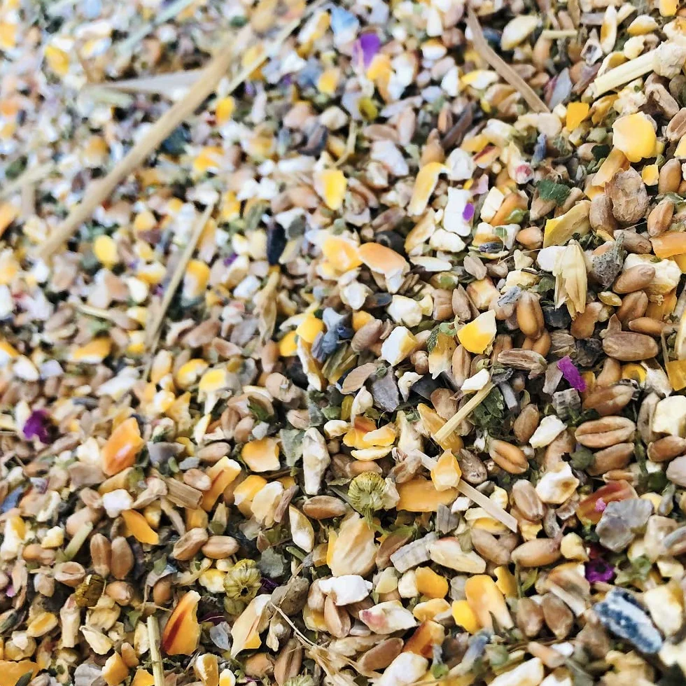 My Little Farm Lebensfreude - Cibo per polli biologico, 2 kg, mix di cereali integrali con erbe preziose per una cura ottimale e un mantenimento sano di galline ovaiole e altri pollame