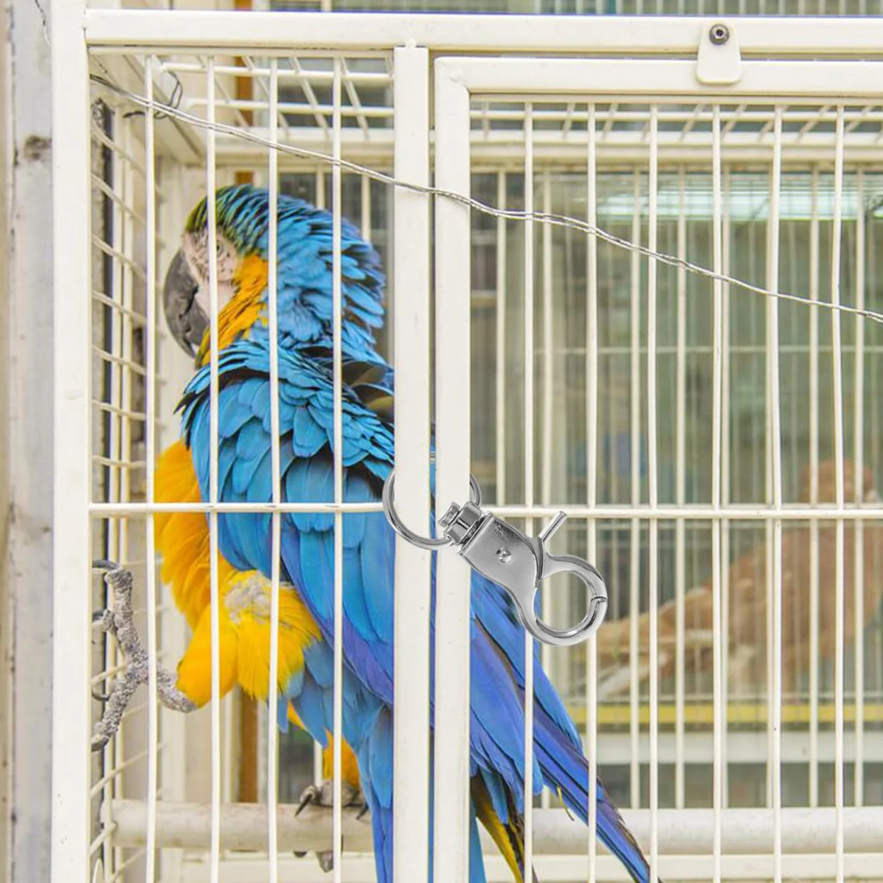 Beavorty 5 Pezzi Blocco Gabbia per Uccelli serrature per Porta di Gabbia di Coniglio Accessori per Uccelli per Gabbie chiusure di Aragosta Gancio Piccolo Lucchetto per Gabbia per Uccelli Pappagallo
