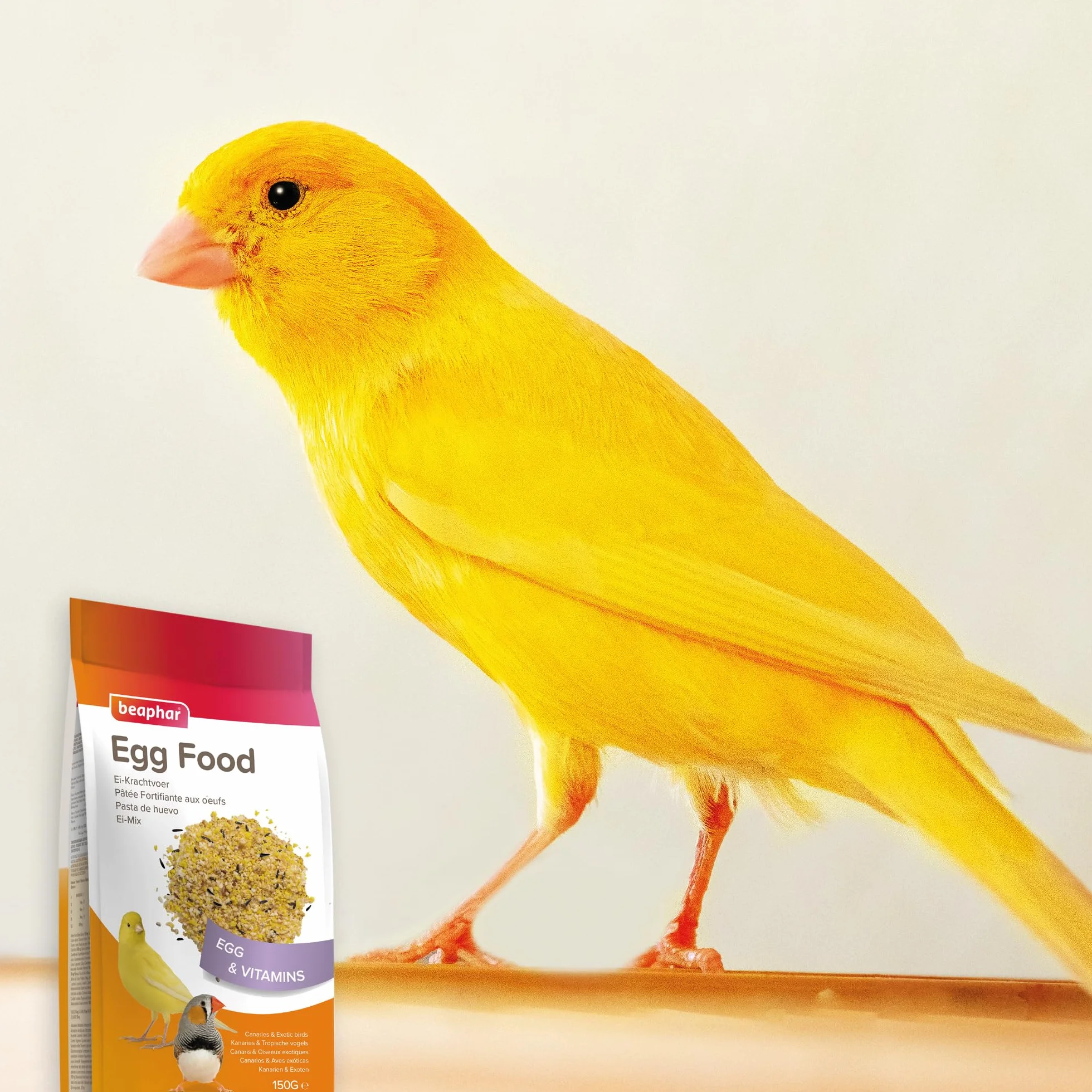 Beaphar Pasta all'uovo per Canarini e Uccelli Esotici - 150g