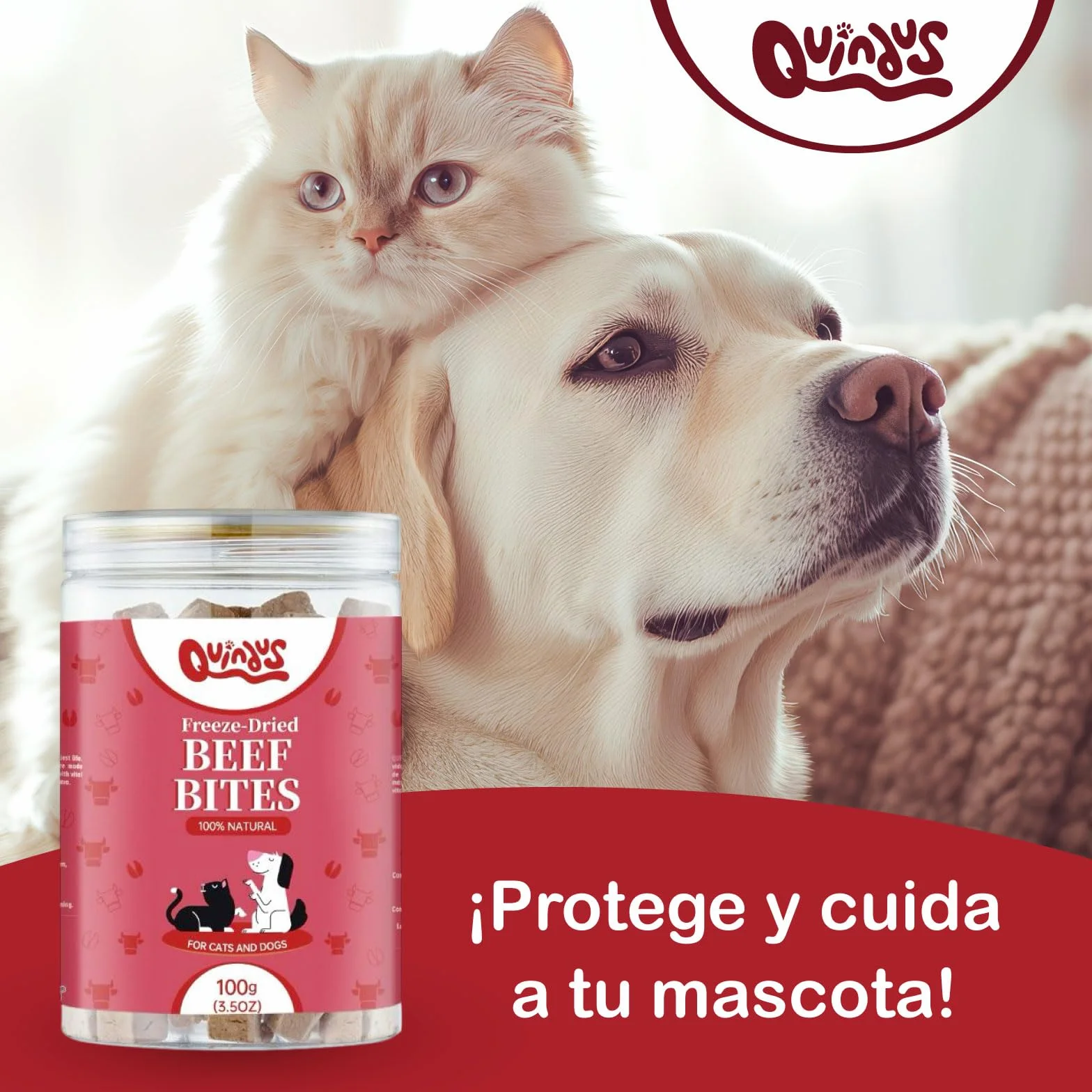 QUINDU'S - Morsi di carne di manzo disidratati per cani e gatti (100 g x 3) | Snack naturale con proteine e sostanze nutritive | Integratore alimentare per pelle e pelliccia | Dieta Barf | Gusto Bue