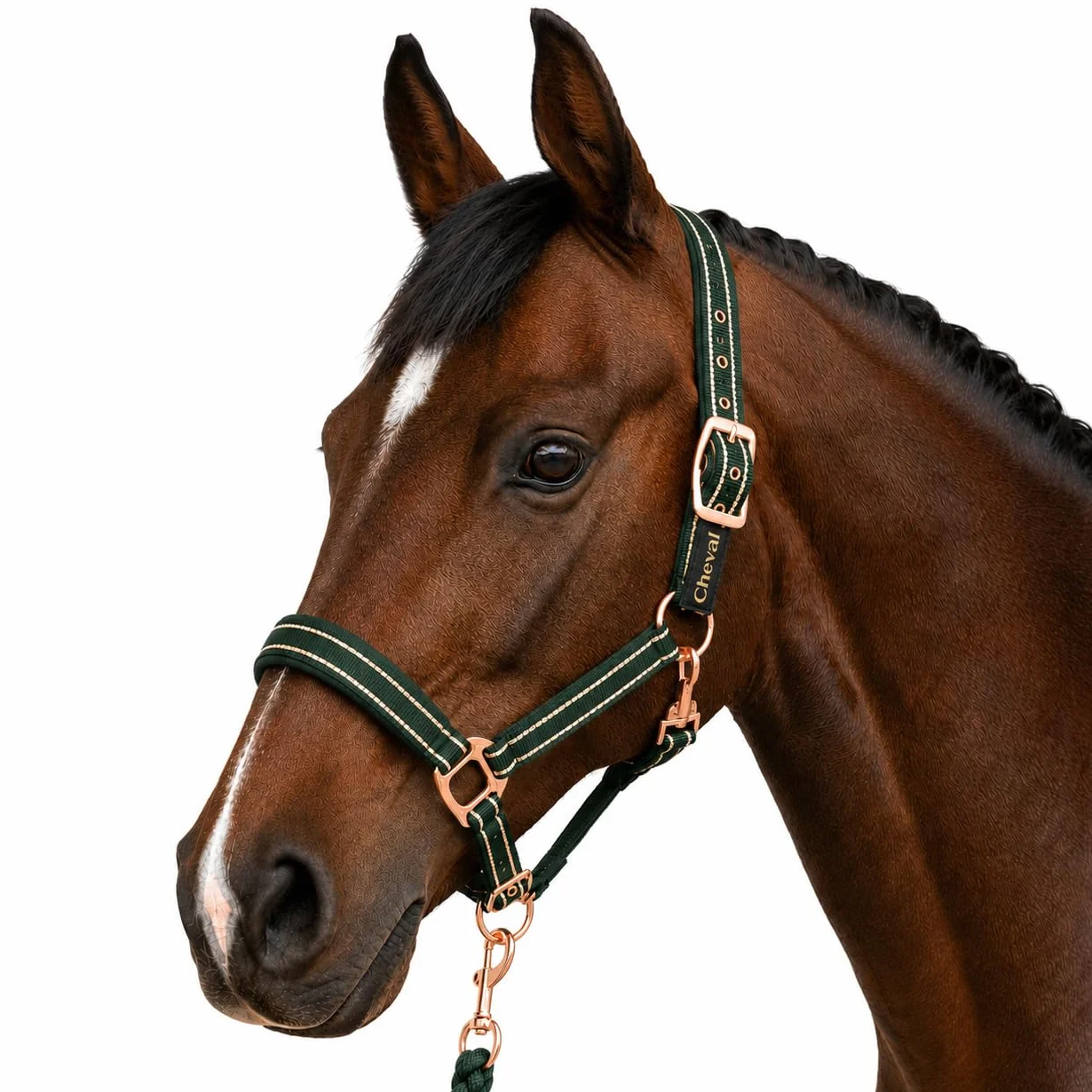 Cavezza per cavalli con glitter in oro rosa, cavezza cavallo in nero e rosa, regolabile in 2 posizioni (verde oro rosa, purosangue)