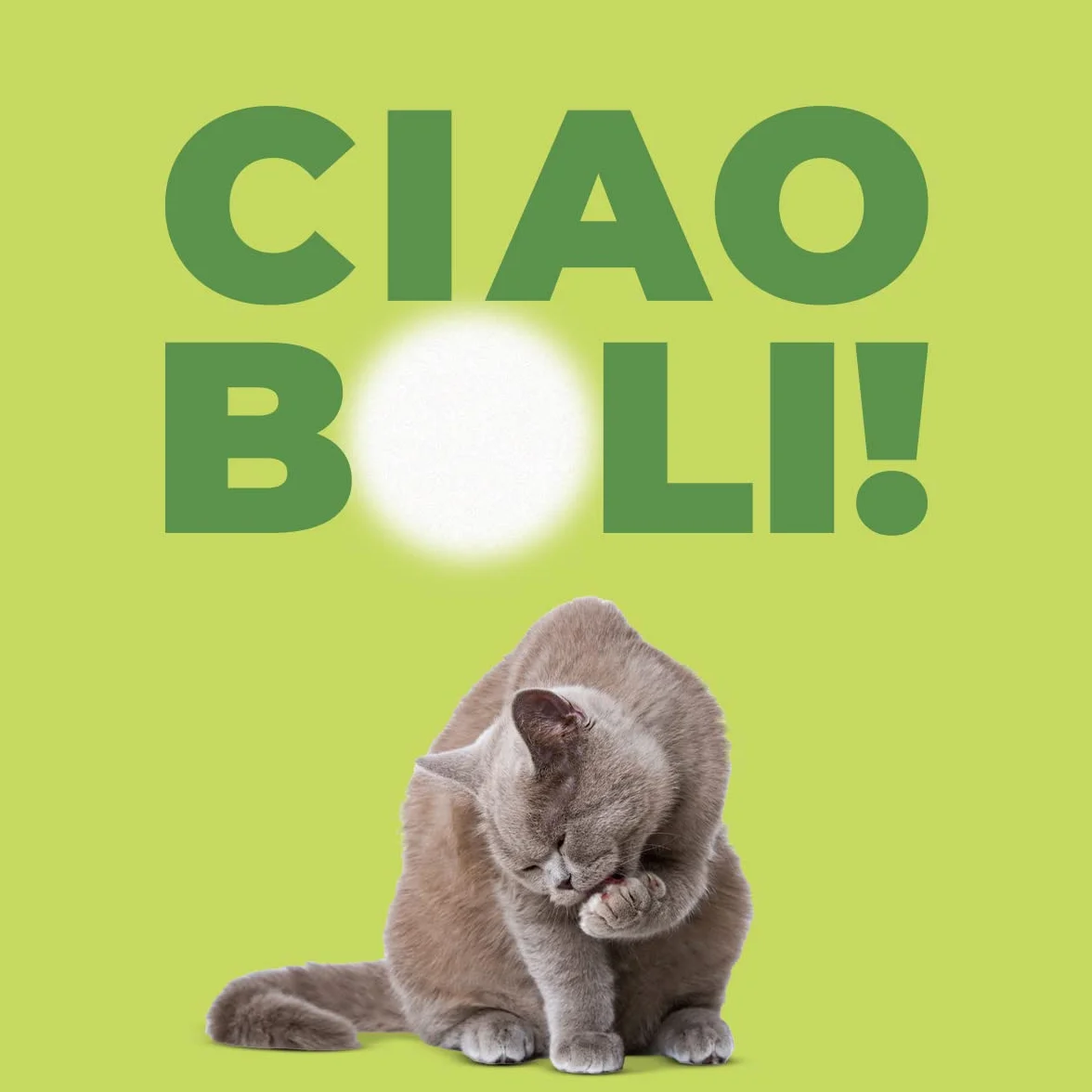 Remover Gatto - Mangime Complementare Per Gatti All'Aroma Di Pesce Per Rimuovere I Boli Di Pelo. Mangime Complementare Gatto Con Vitamina E. 1 Tubetto da 50 grammi