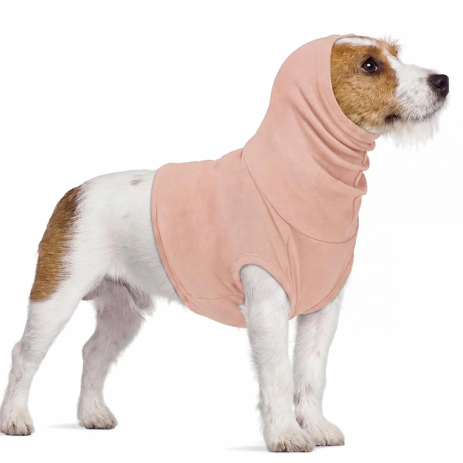Fascia per ematoma auricolare canina e felina rosa pelle S