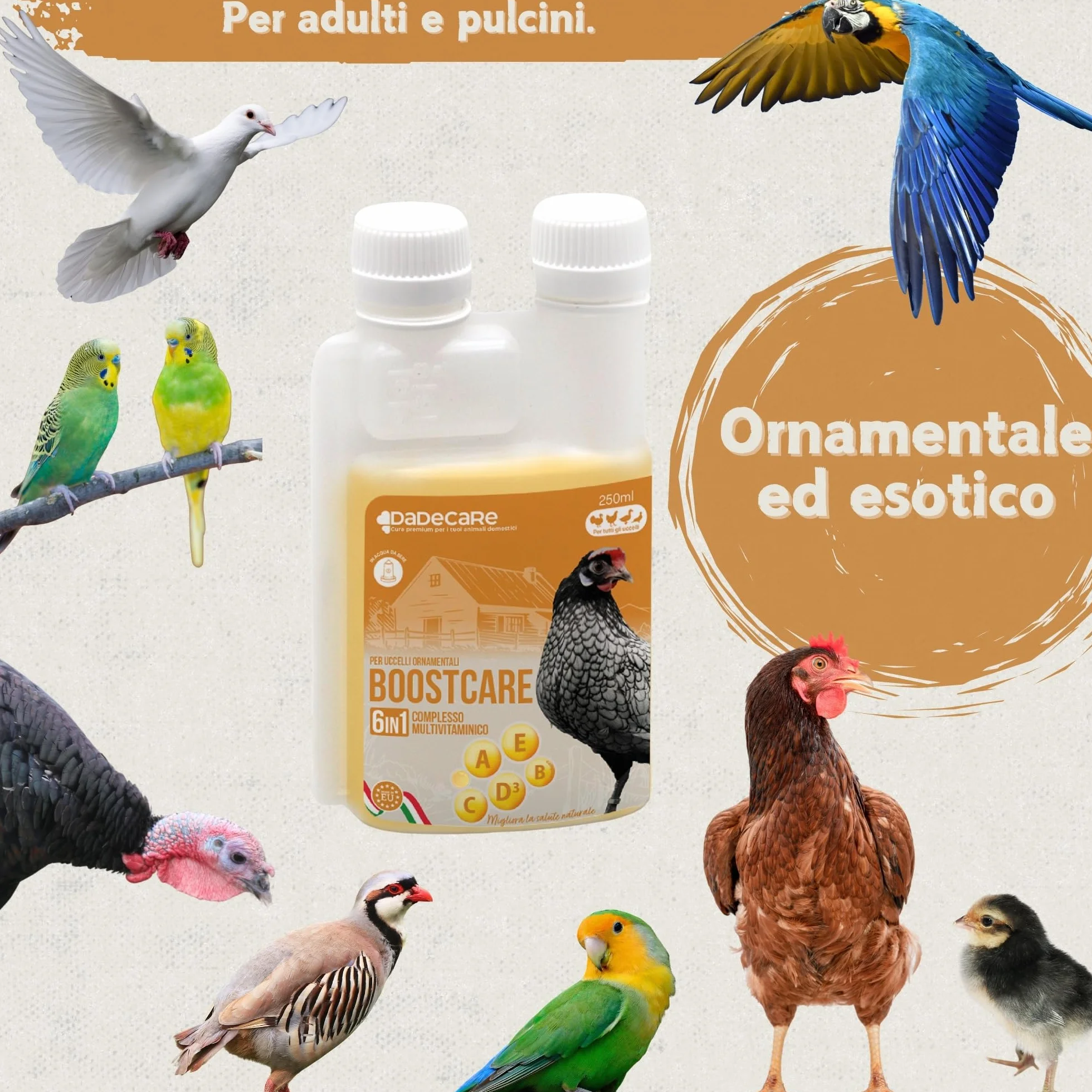 Multivitaminico 6 in 1 250ml Uccelli Vitamine A-E-D-C-B Mangime Complementare per Abbeveratoio Galline Polli Piccioni Pappagalli Parrocchetti con Dosatore Boostcare