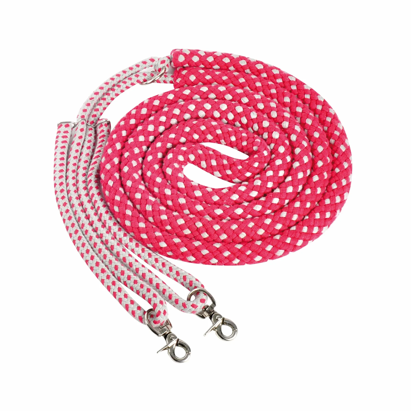 CBL Lunging Aid