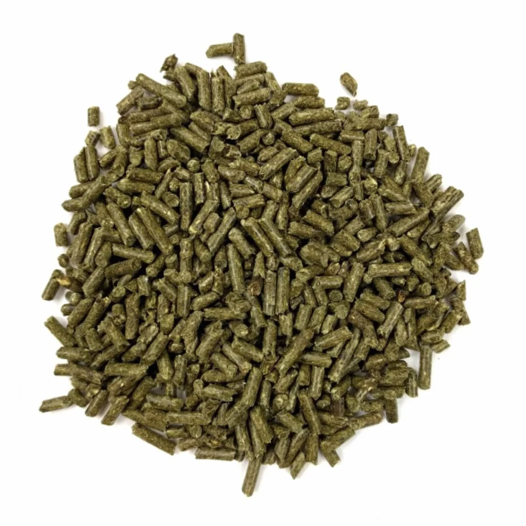 Oxbow Essentials Cibo per cincillà - 1,5 kg