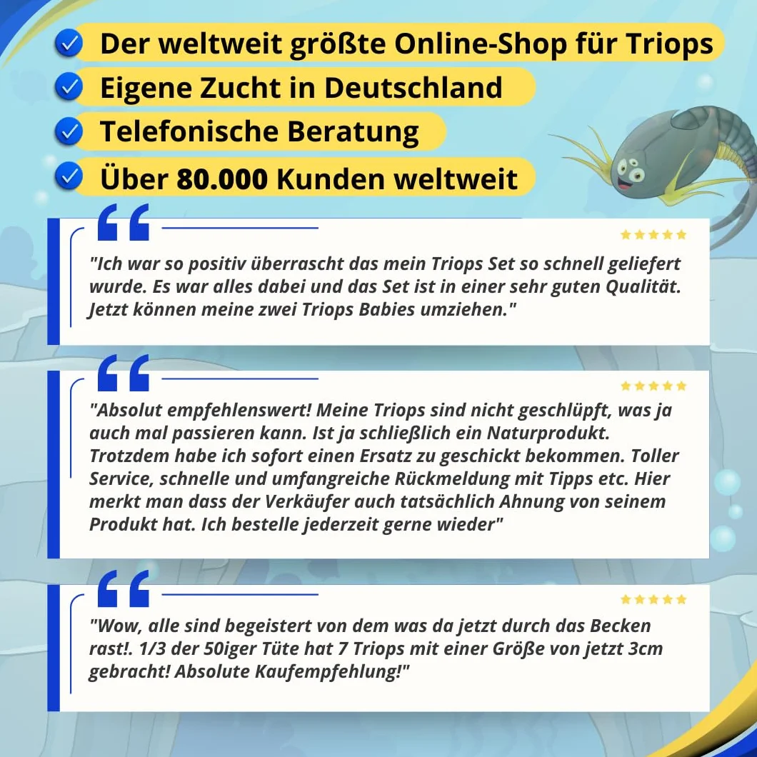 Zestaw do hodowli Triops longicaudatus z pokarmem
