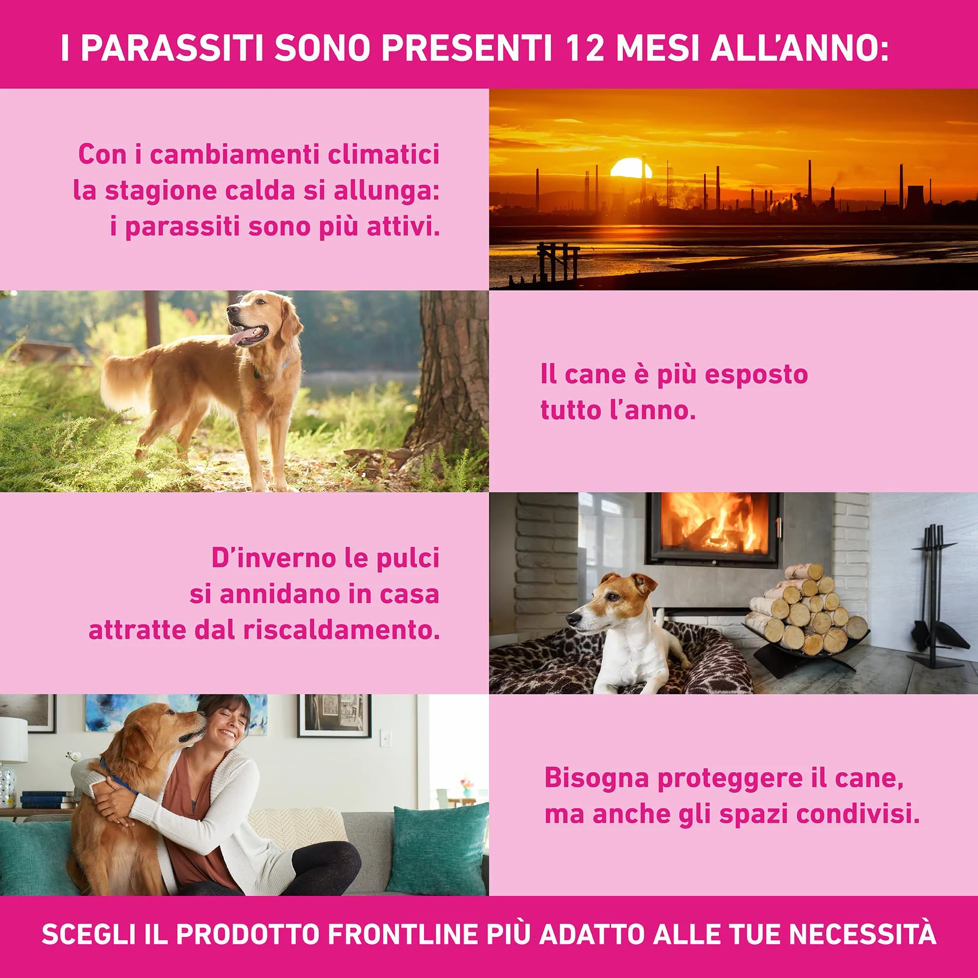 Frontline Triact 6 Pipette Cane L (20-40Kg) Antiparassitario Lunga Durata Protegge da Pulci Zecche Zanzare Pappataci Leishmaniosi